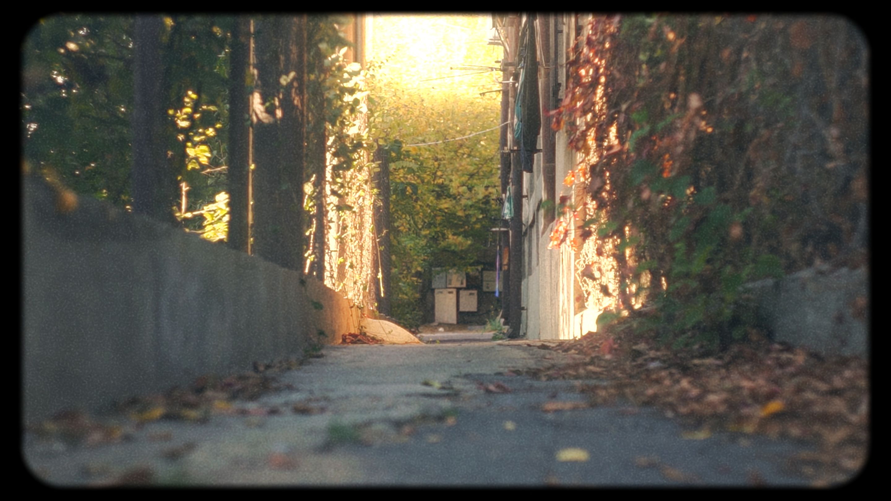 Timeline 1_01_01_03_17.jpg