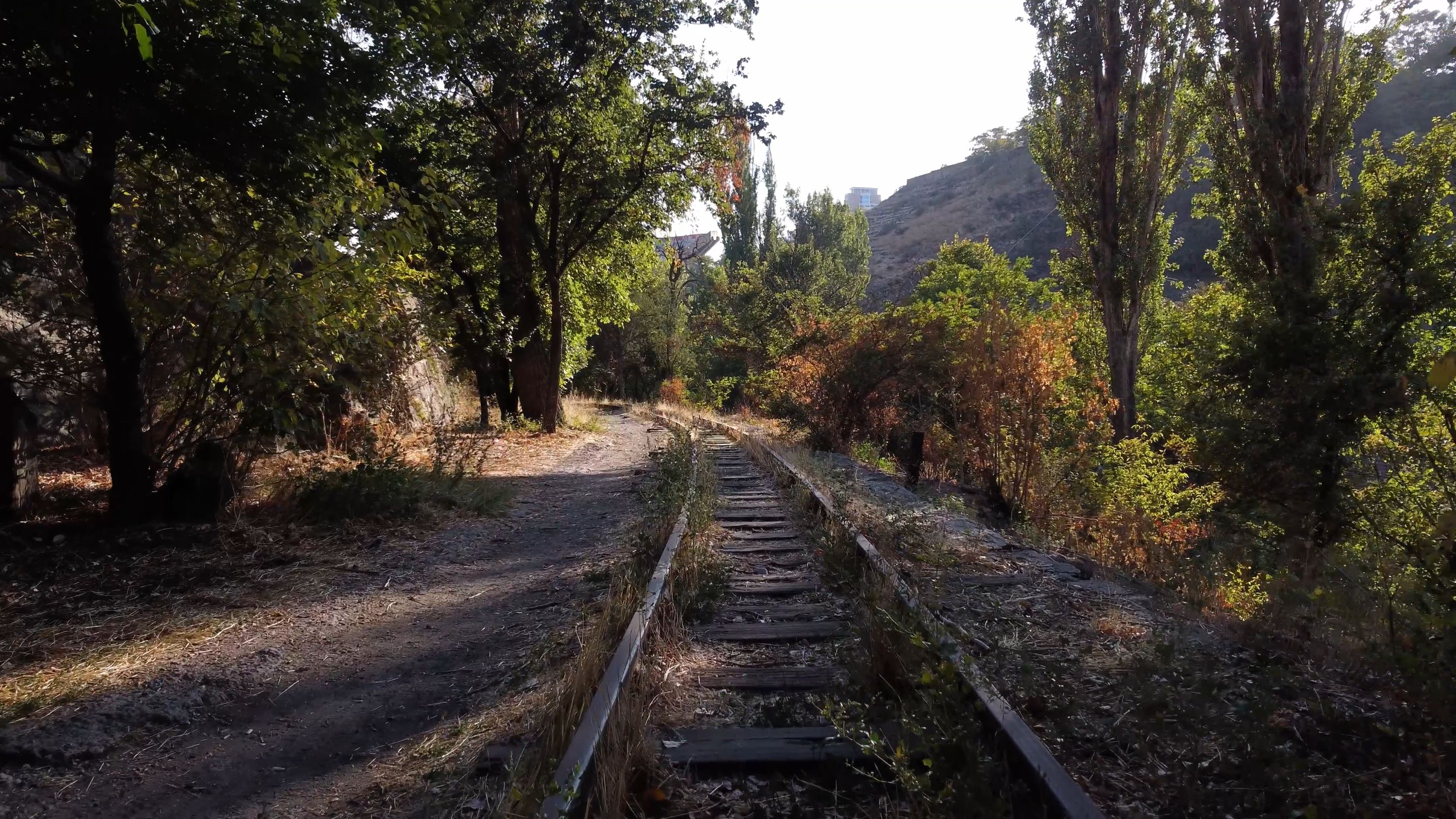 low drone flight over old railway-0003.png