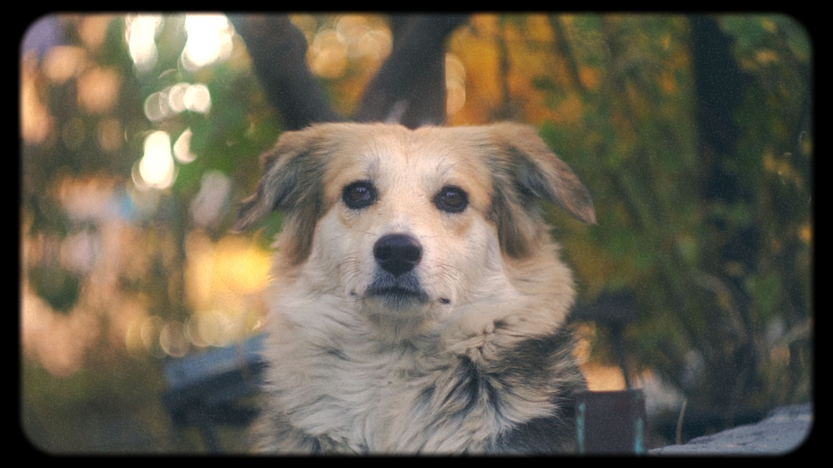 Timeline 1_01_00_18_20.jpg