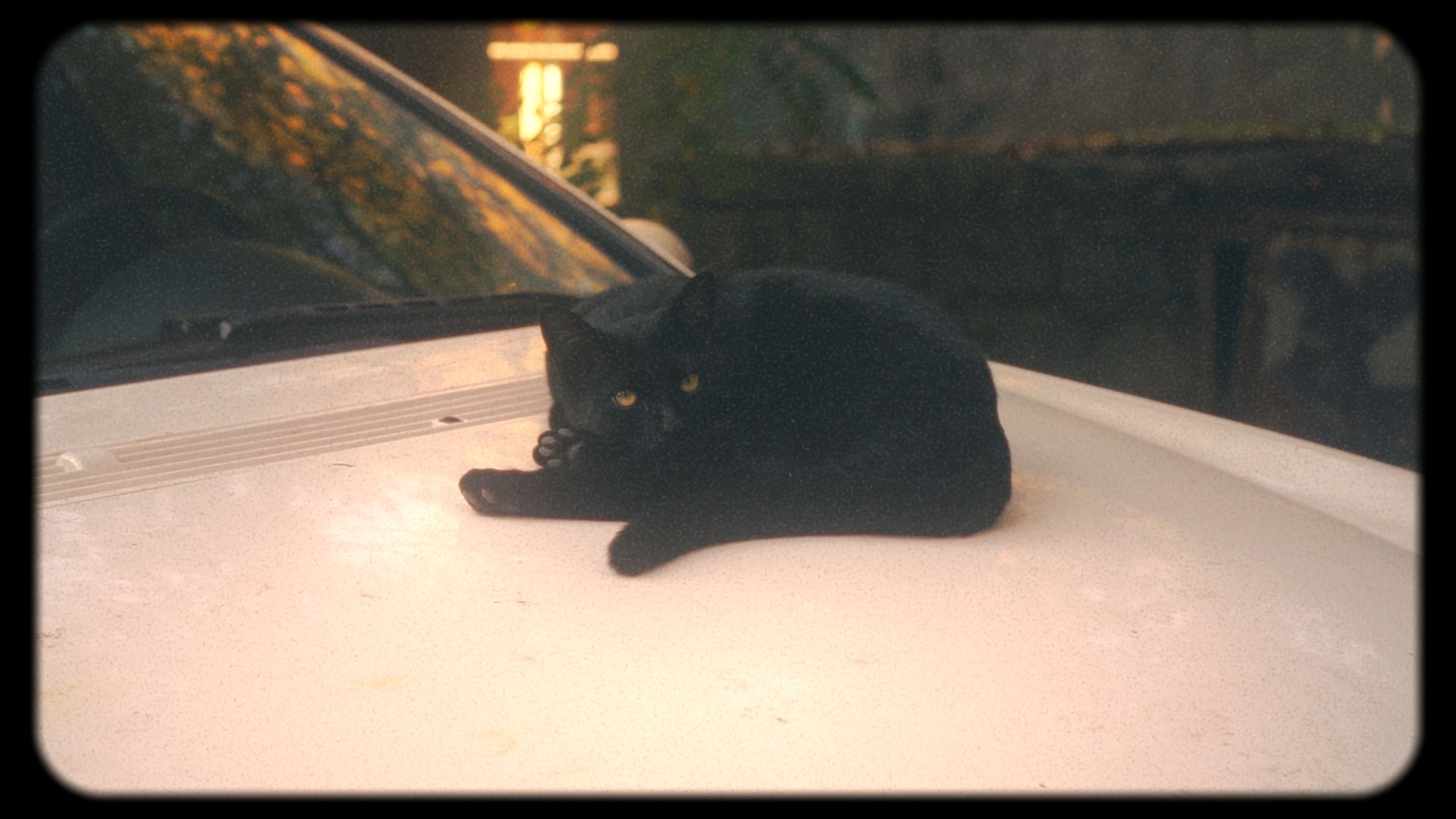 Timeline 1_01_00_06_09.jpg