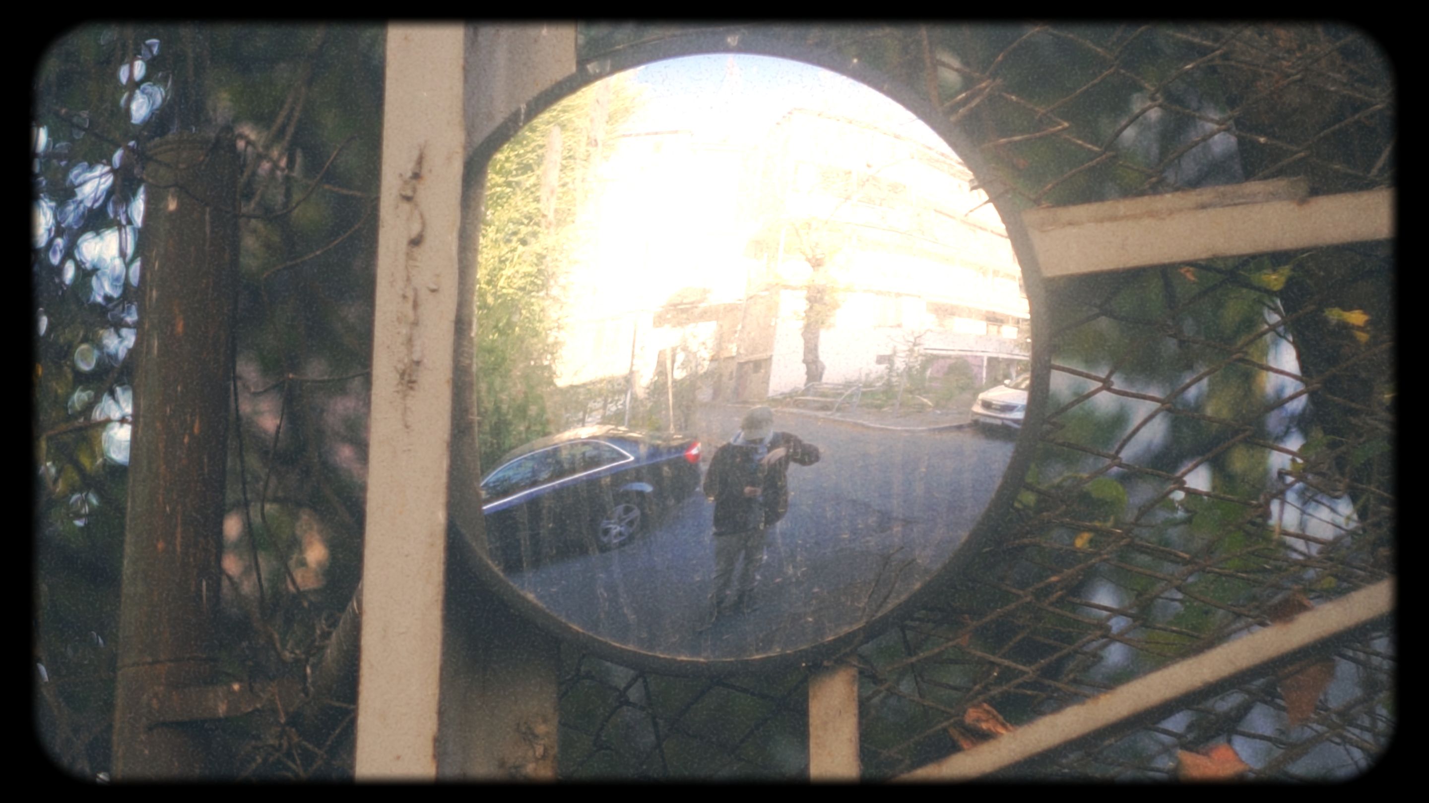 Timeline 1_01_00_26_22.jpg