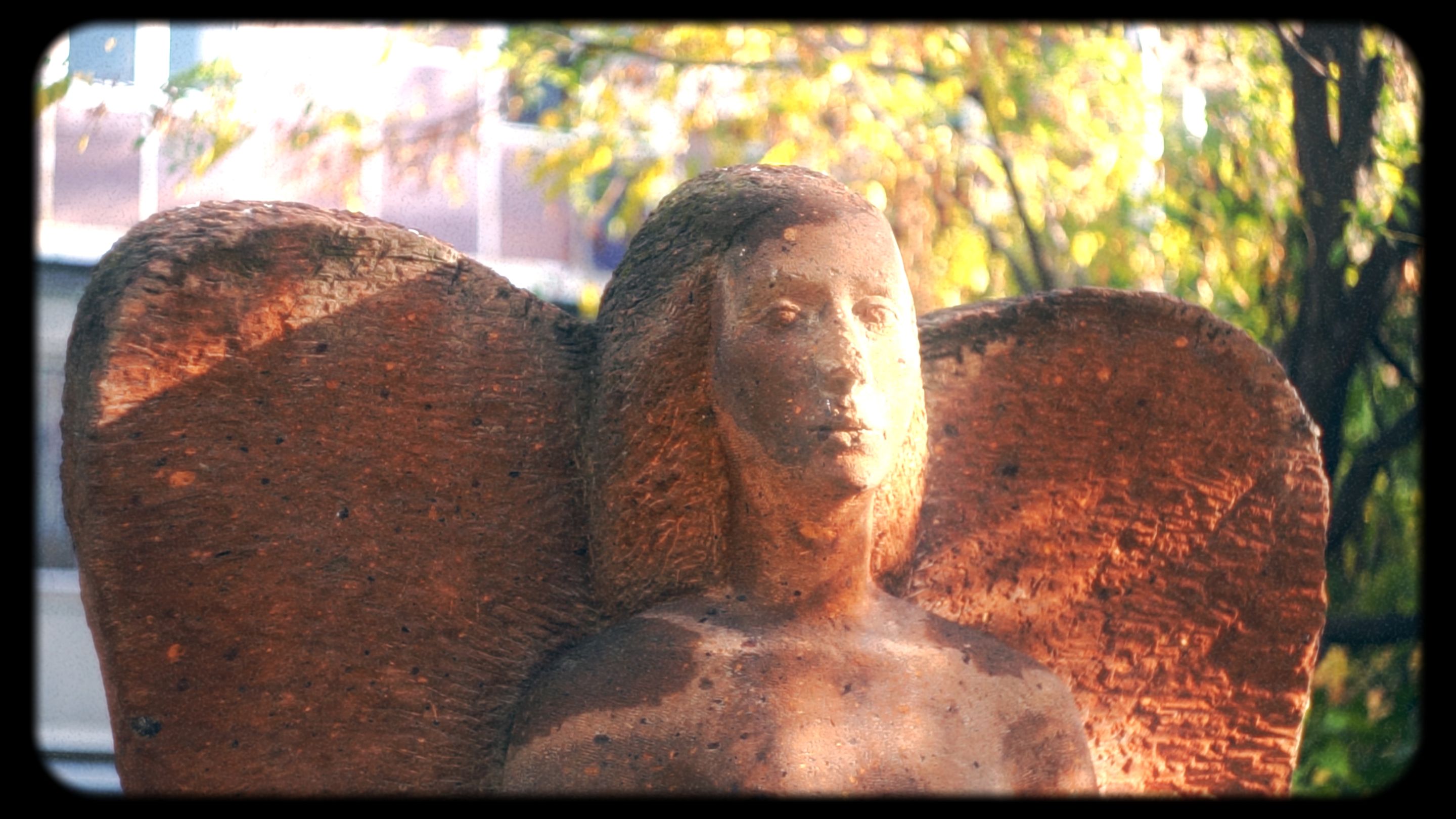 Timeline 1_01_00_43_27.jpg