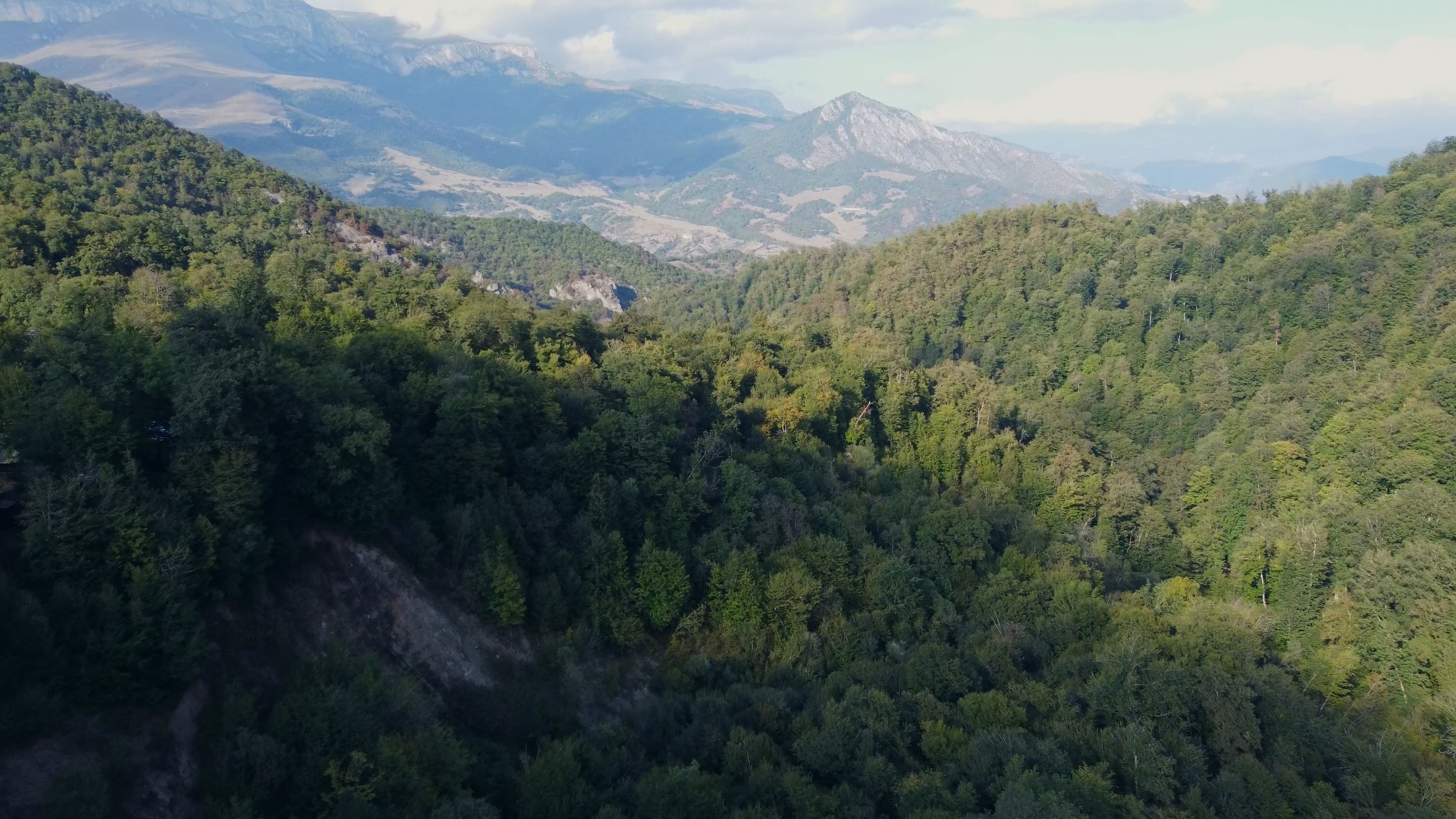flight through a forest canyon dilijan armenia-0006.png