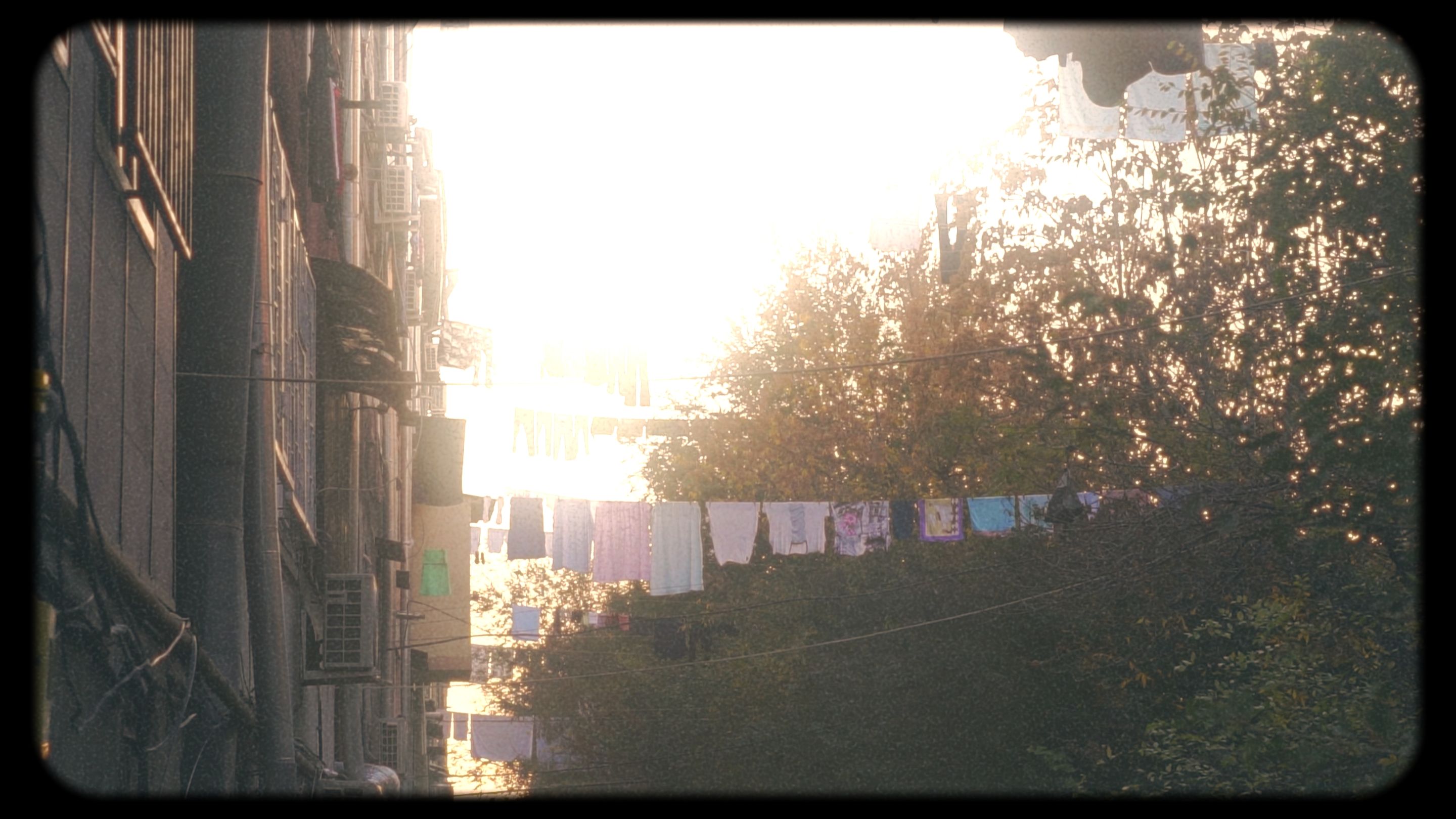 Timeline 1_01_00_11_10.jpg