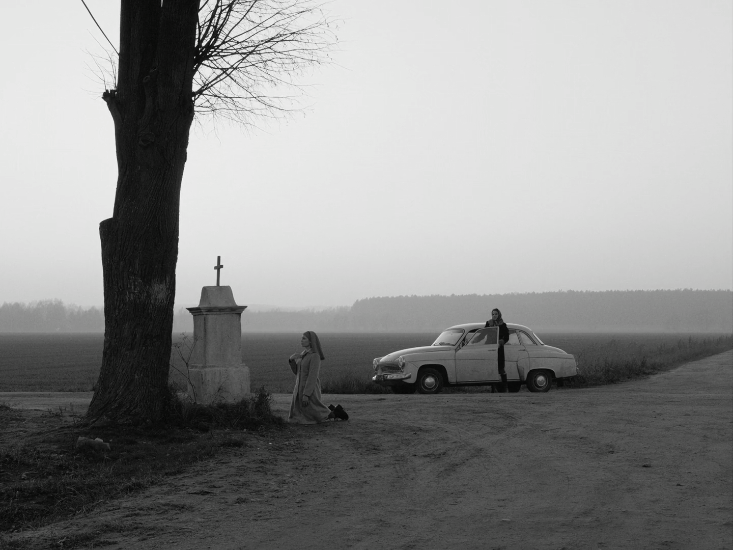 Ida 2013 BluRay 1080p x264 Dolby FLiCKSiCK-0002.png