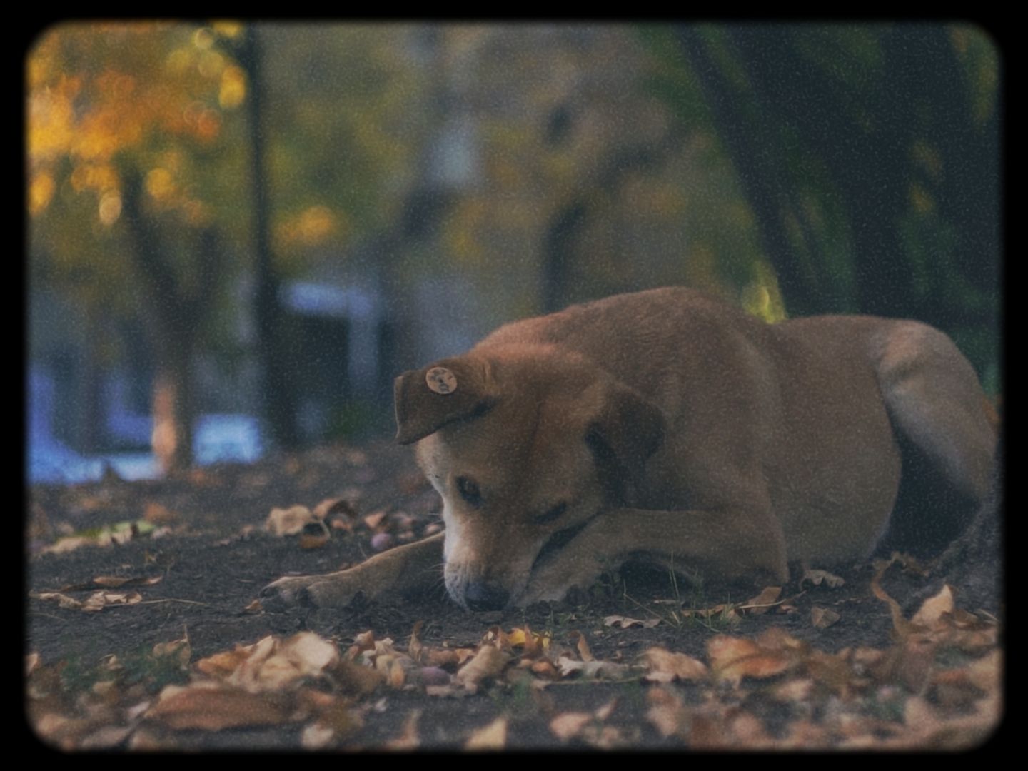 Timeline 1_01_00_37_27.jpg