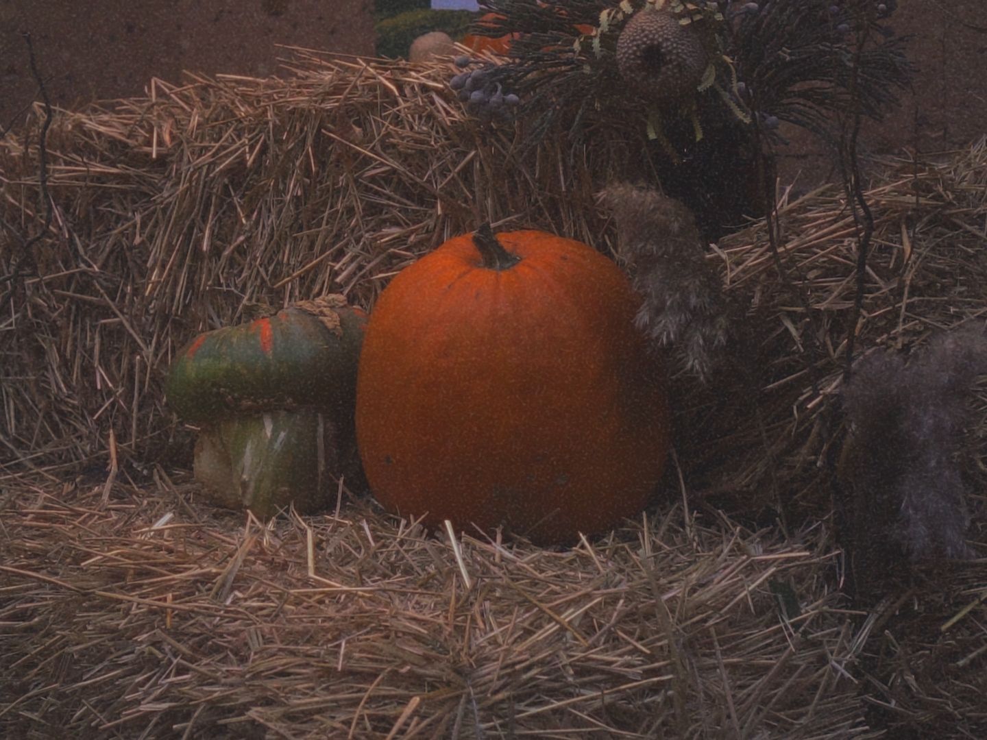 Timeline 1_01_00_06_01.jpg