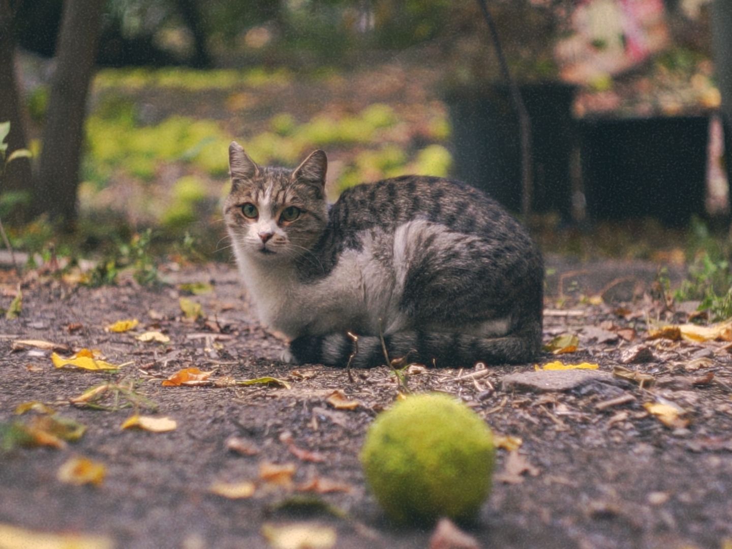 Timeline 1_01_00_01_26.jpg