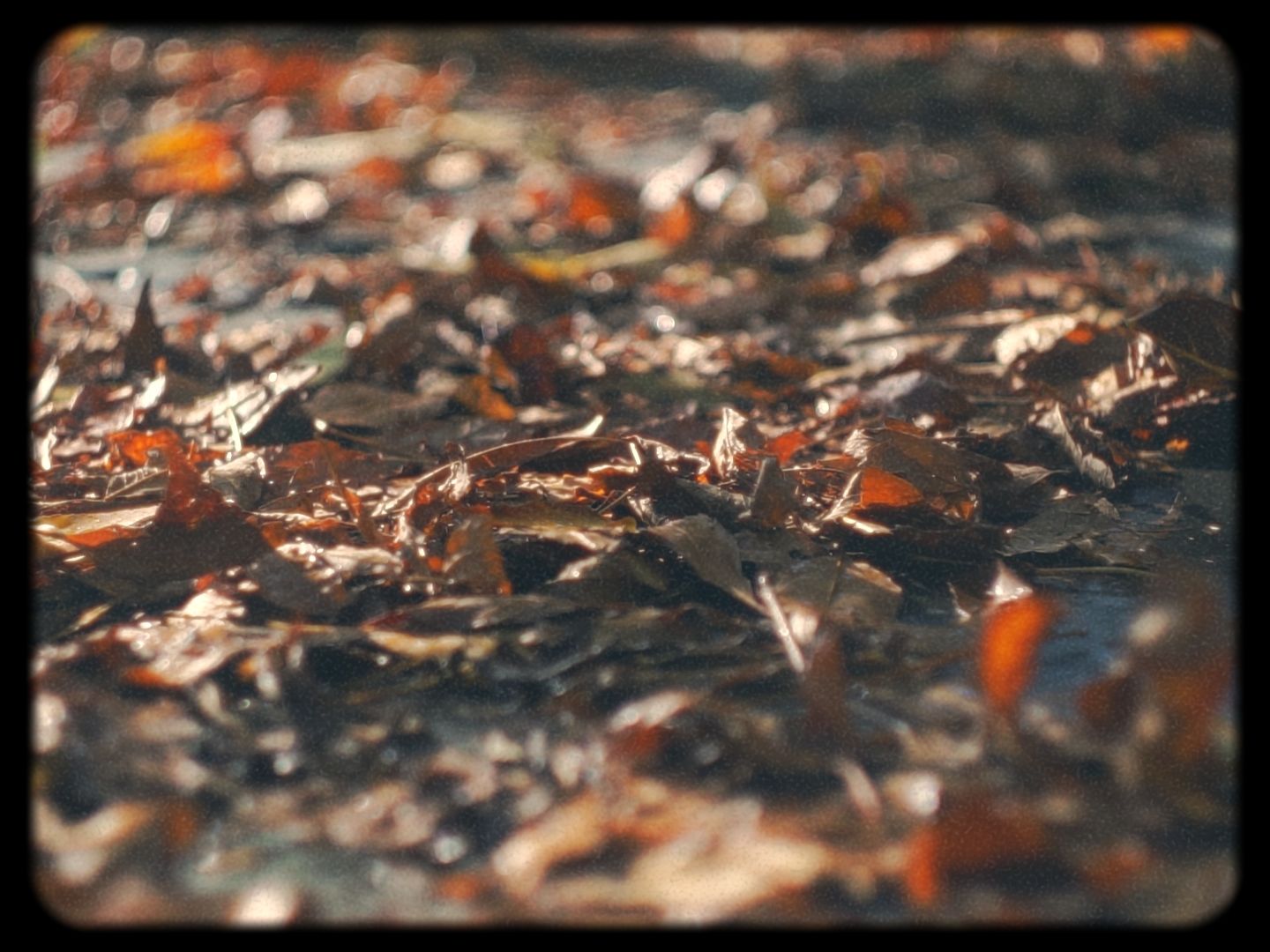 Timeline 1_01_00_02_17.jpg