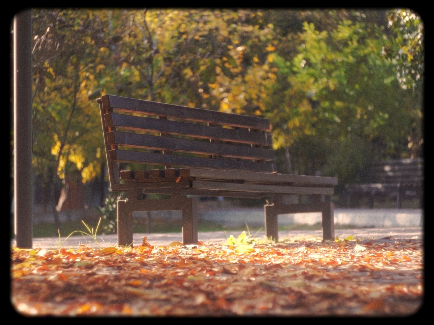 Timeline 1_01_00_05_05.jpg