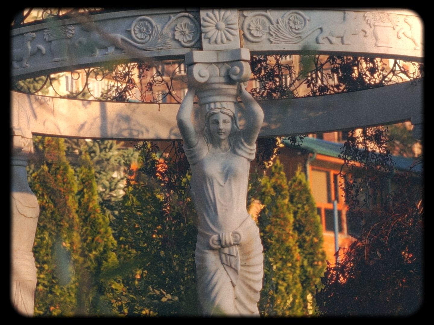 Timeline 1_01_00_23_12.jpg