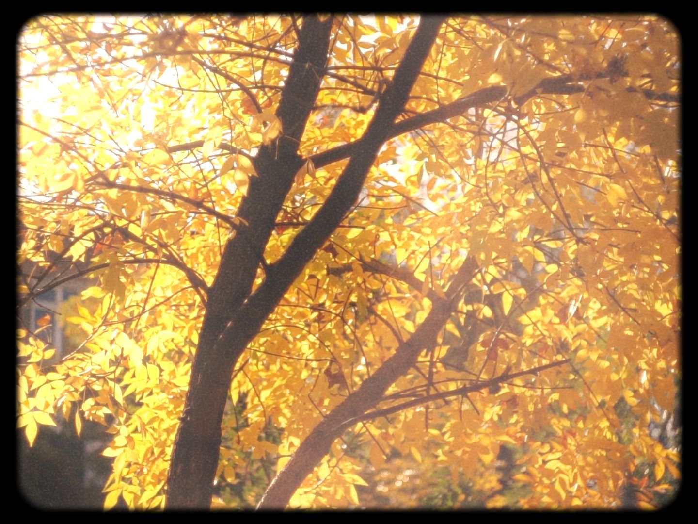 Timeline 1_01_00_06_29.jpg