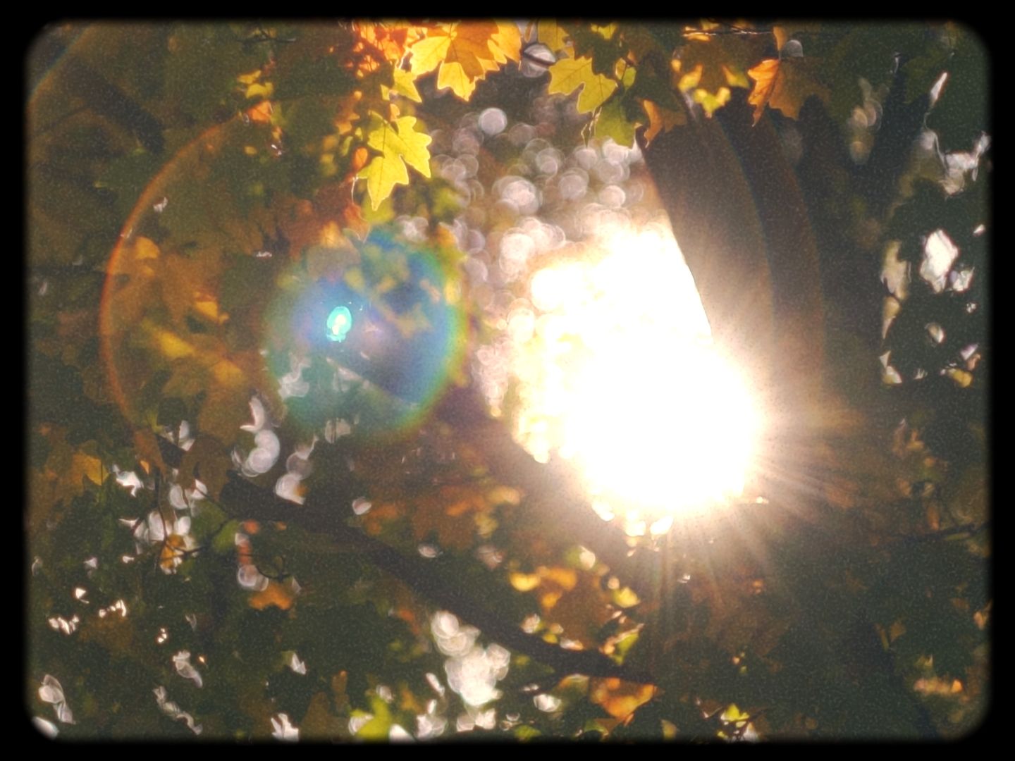 Timeline 1_01_00_08_23.jpg