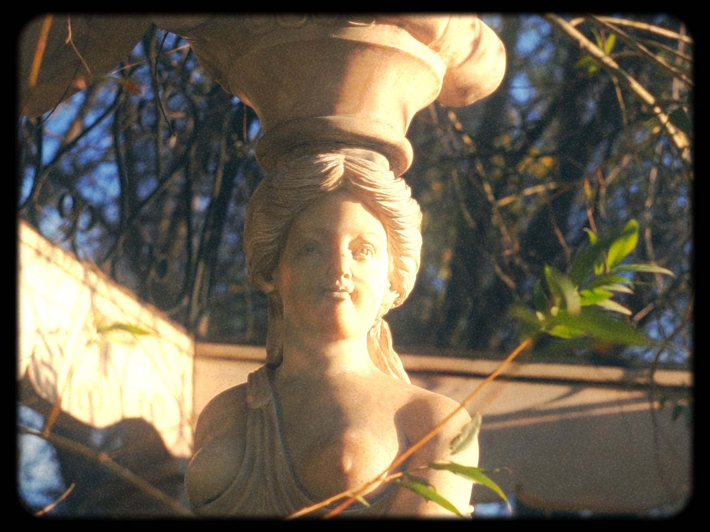 Timeline 1_01_00_26_16.jpg