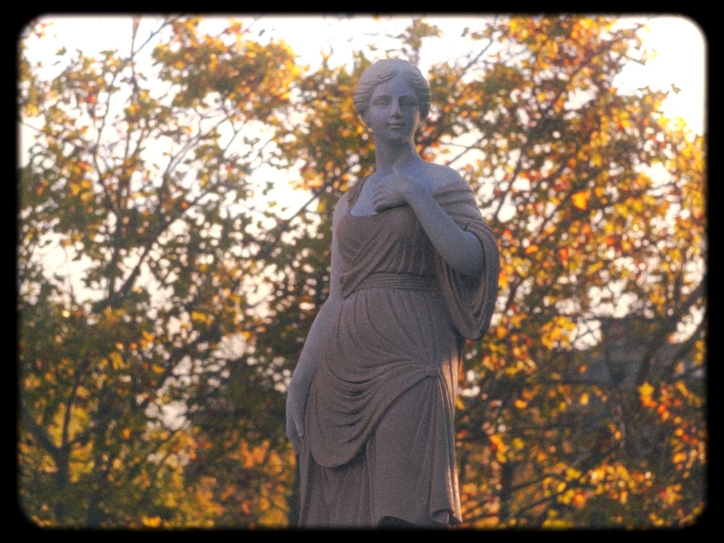 Timeline 1_01_00_25_07.jpg