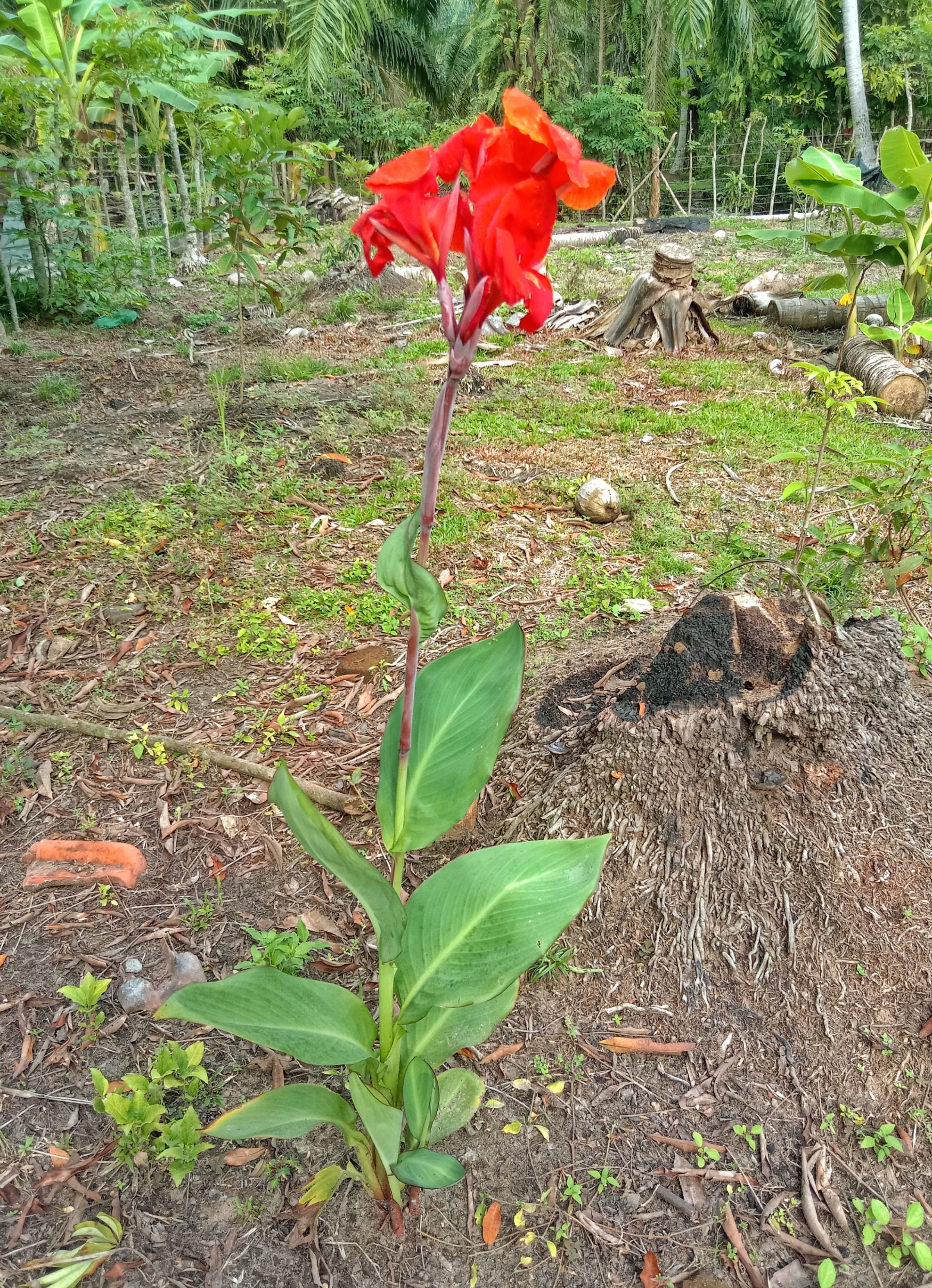 IMG_20250421_230604.jpg