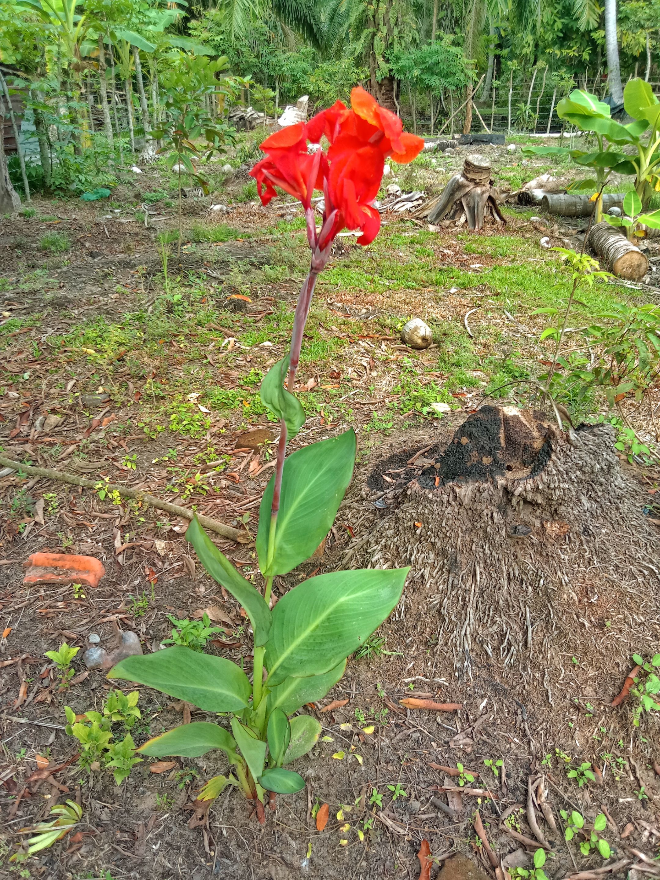 IMG_20250421_230513.jpg