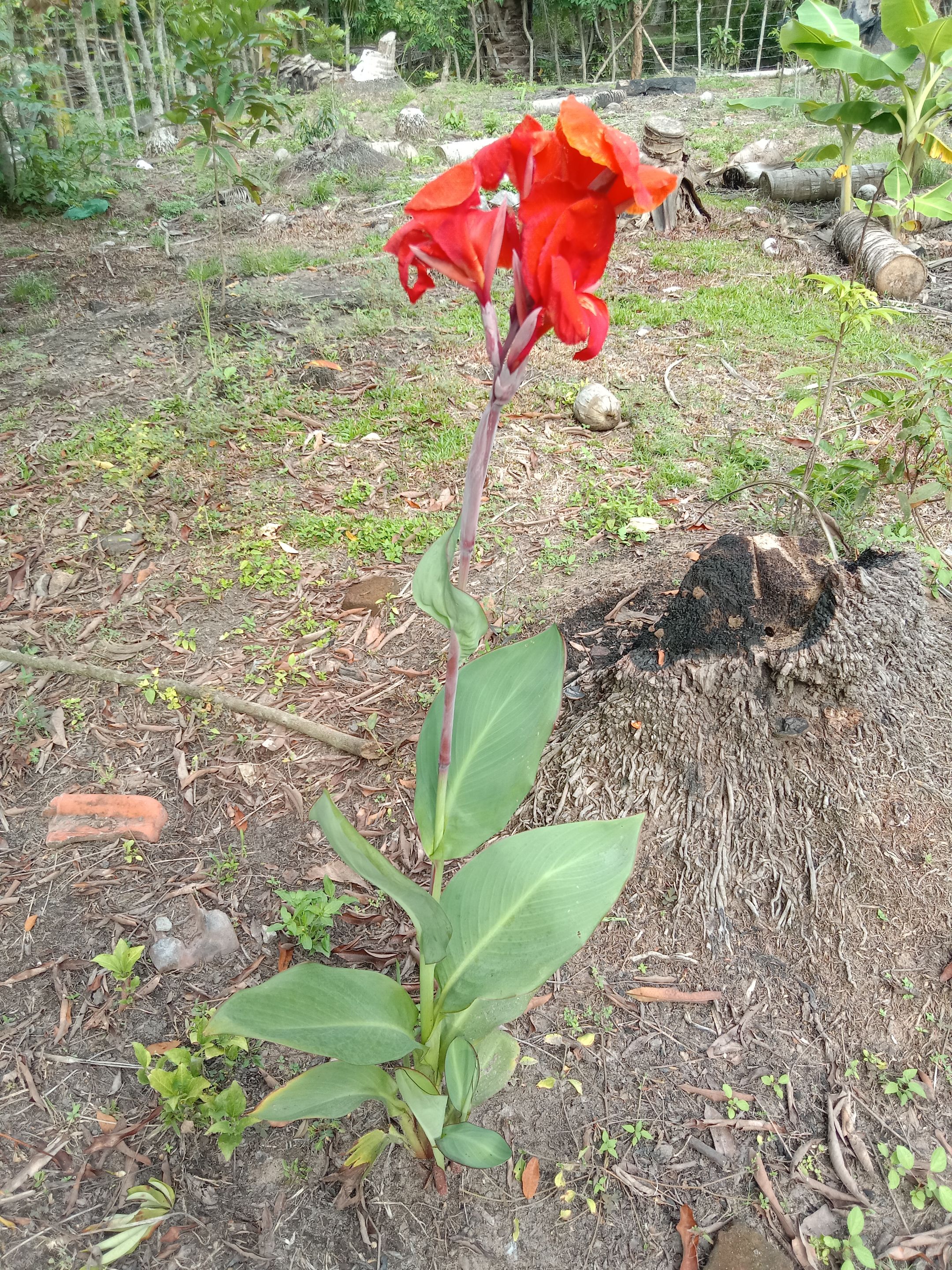 IMG_20250406_161258.jpg