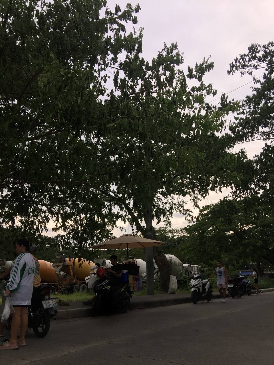 IMG_20250730_193143_822.jpg
