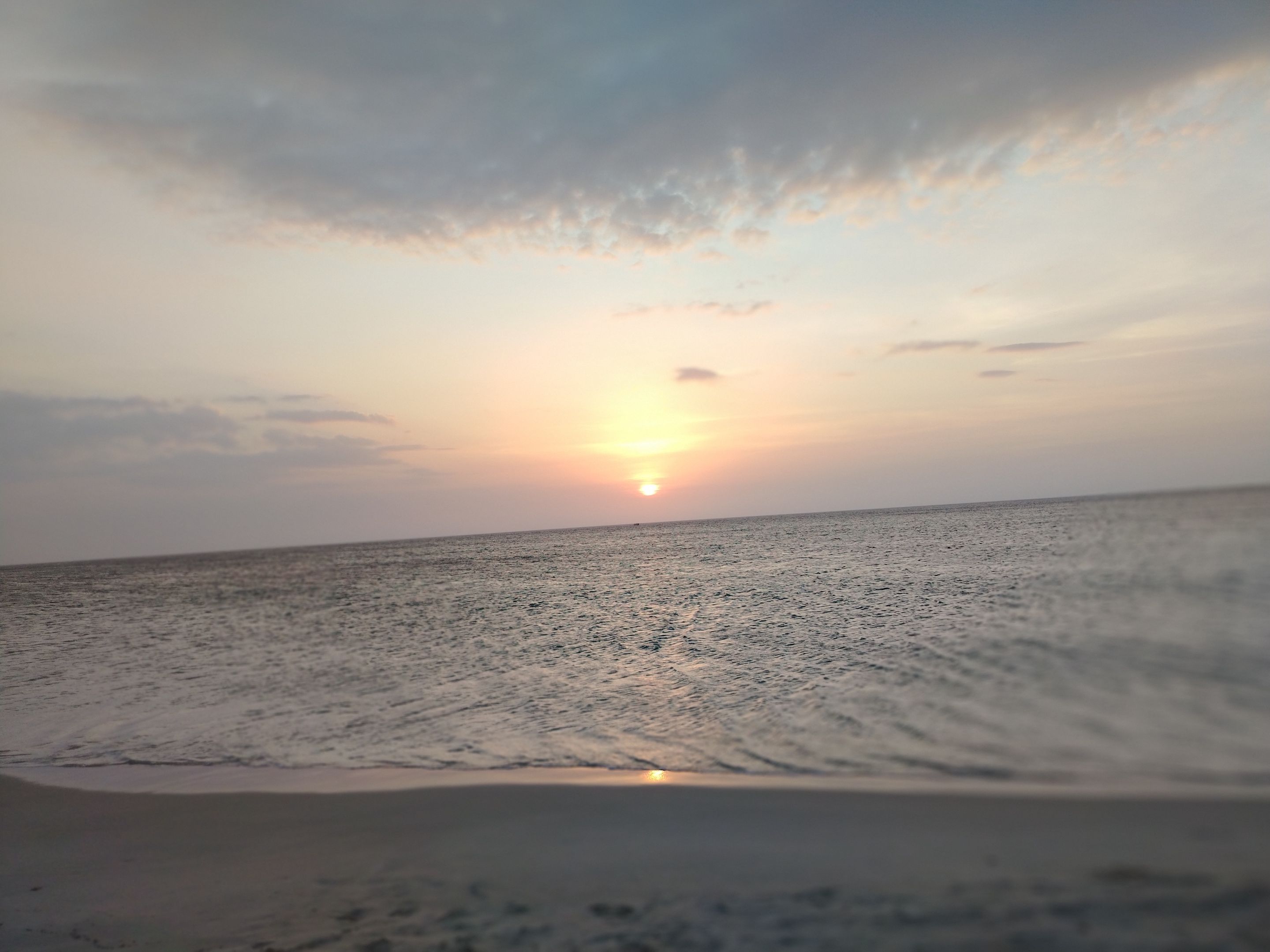 IMG_20250411_181651.jpg