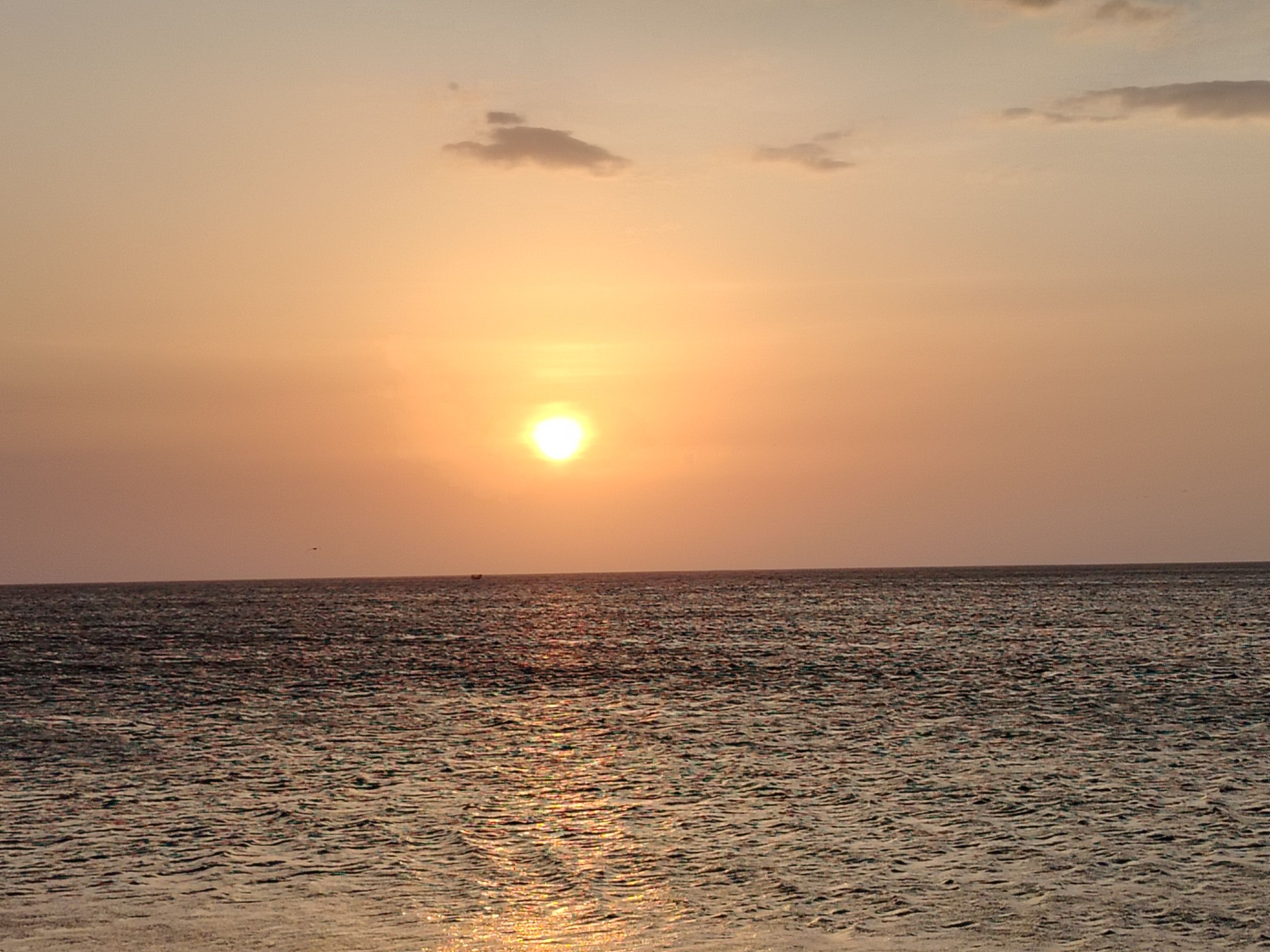 IMG_20250411_181313.jpg