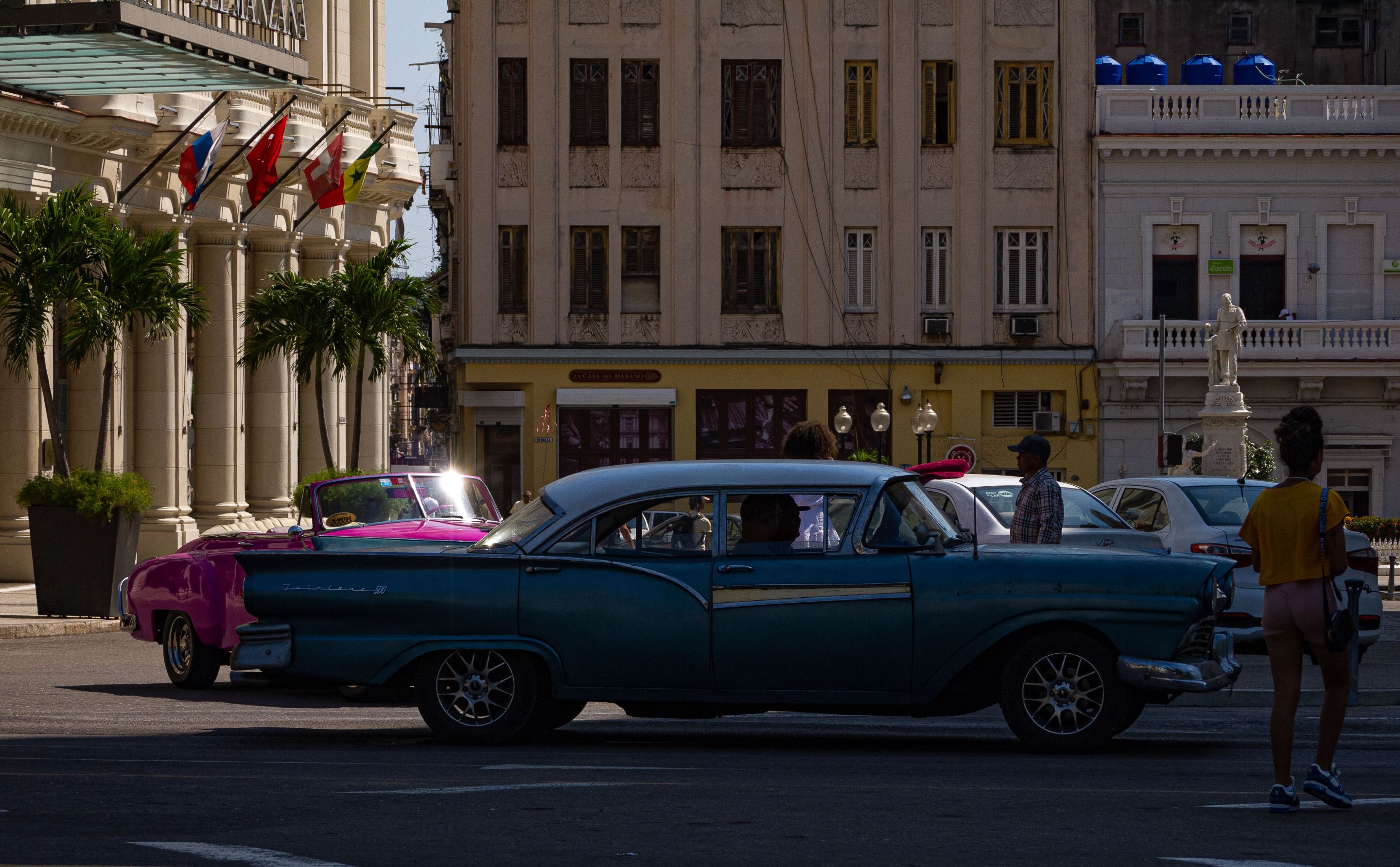 _1340751.JPG