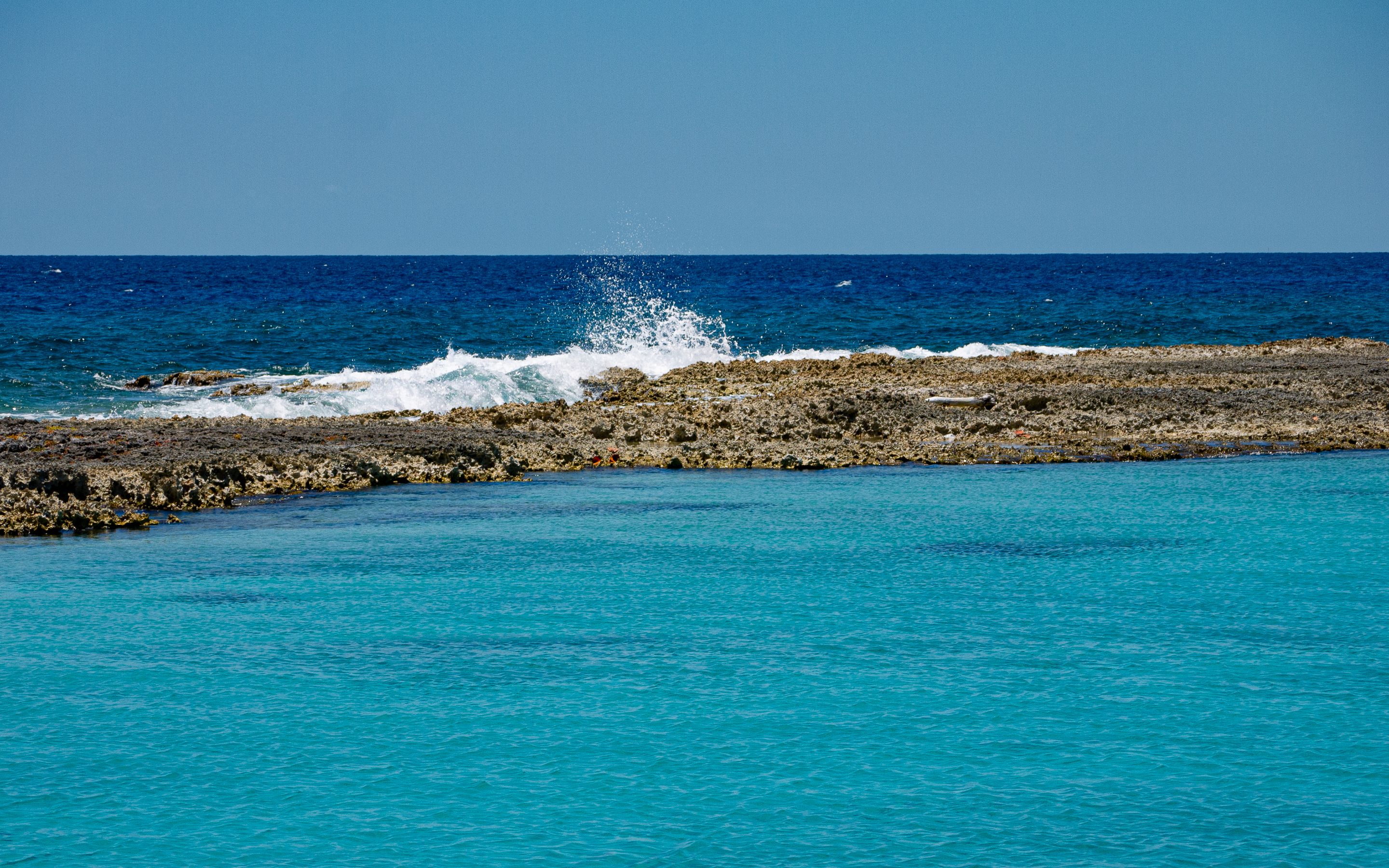 _1350910.JPG