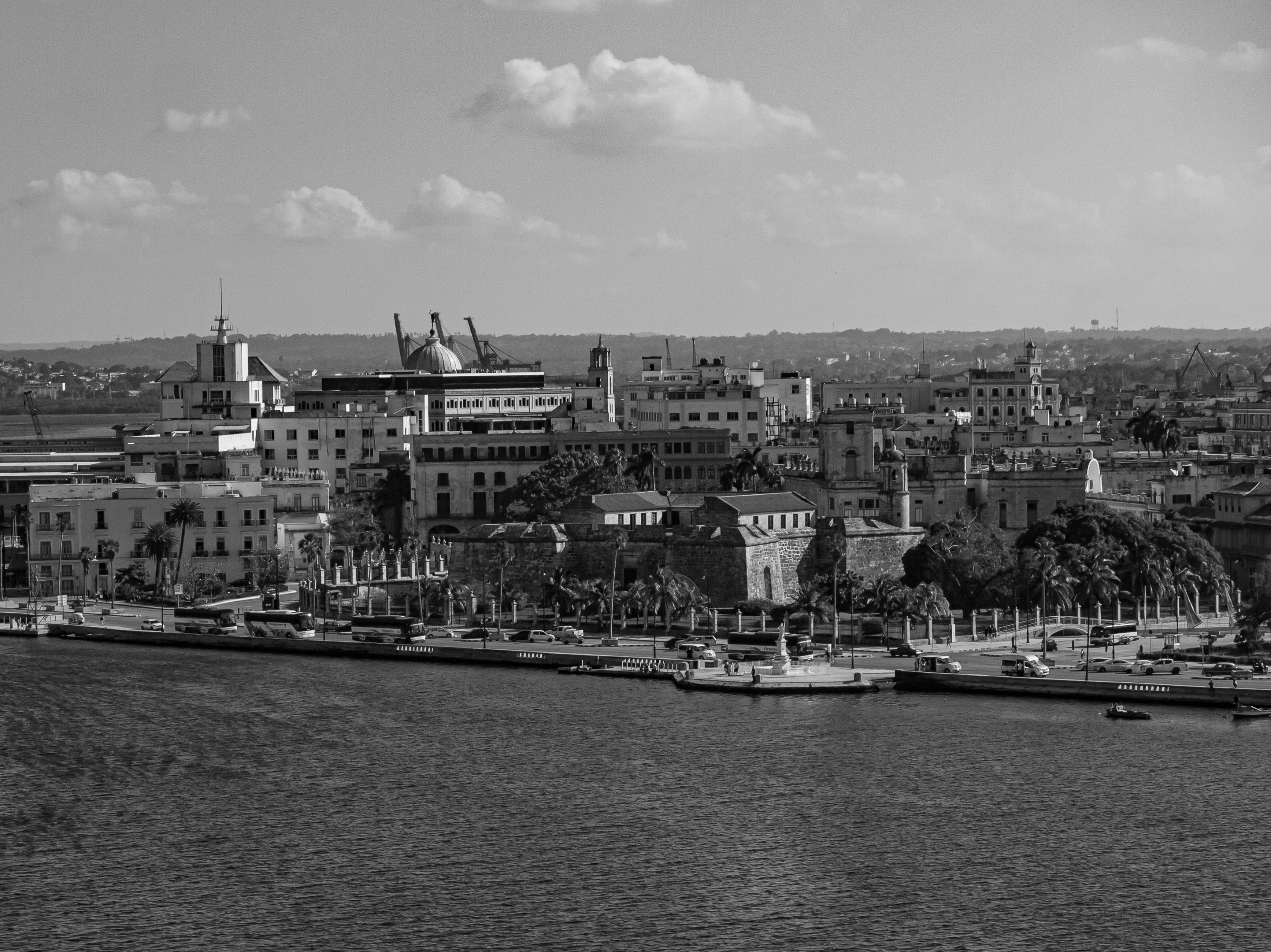 _1340153.JPG