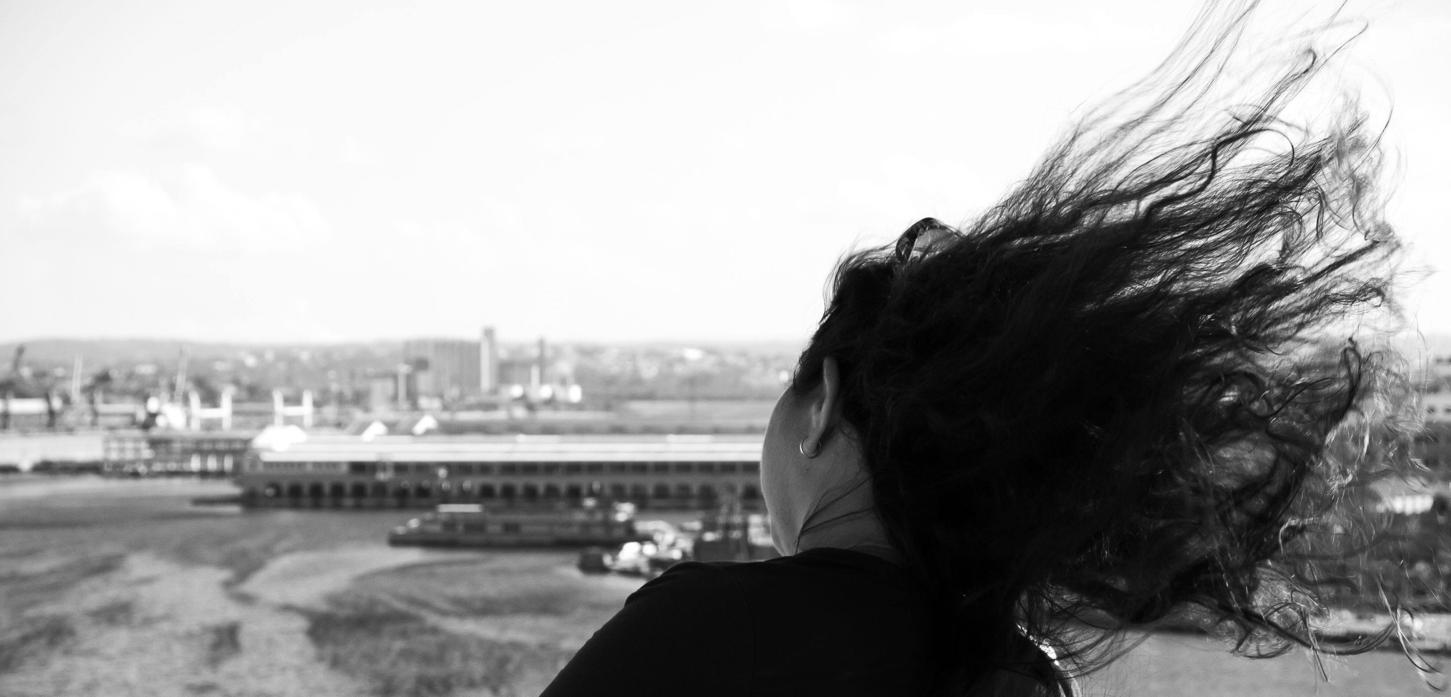 _1340147.JPG