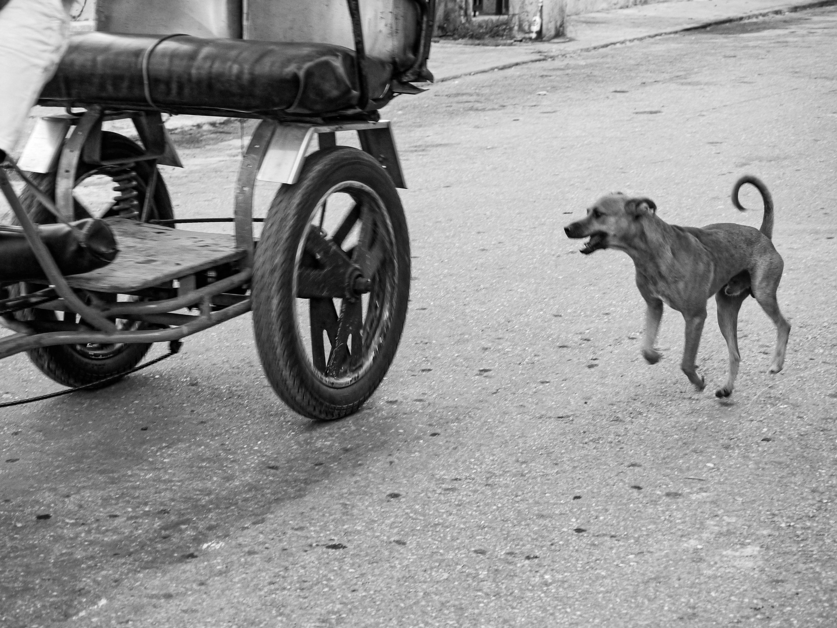 Energy waste / Derroche de energía