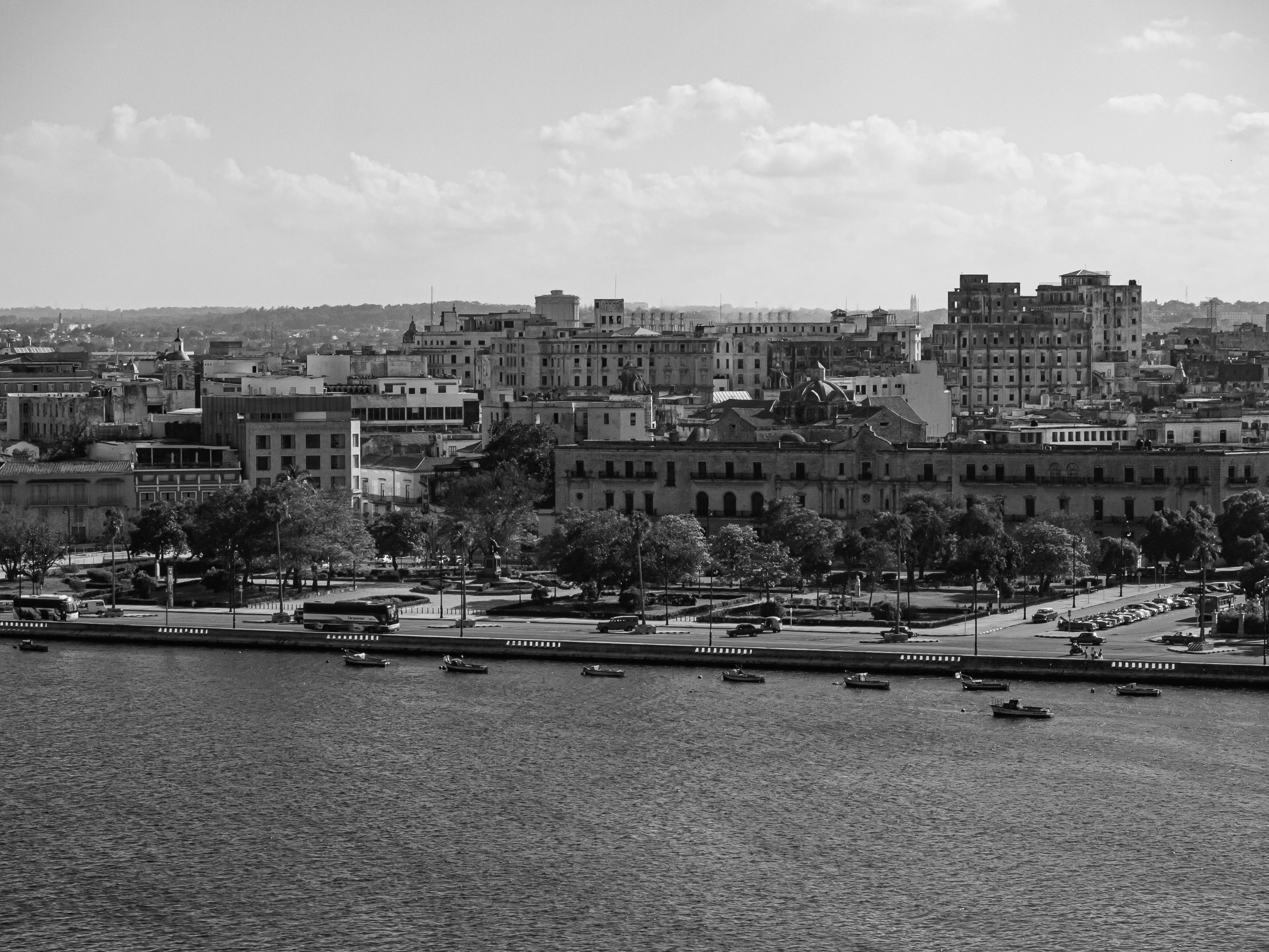 _1340154.JPG