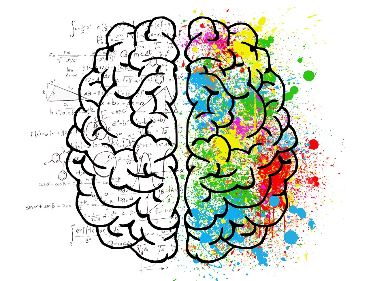 brain-2062057_1280.webp.jpg