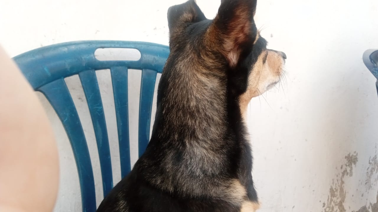 WhatsApp Image 2023-02-18 at 5.46.00 PM (1).jpeg