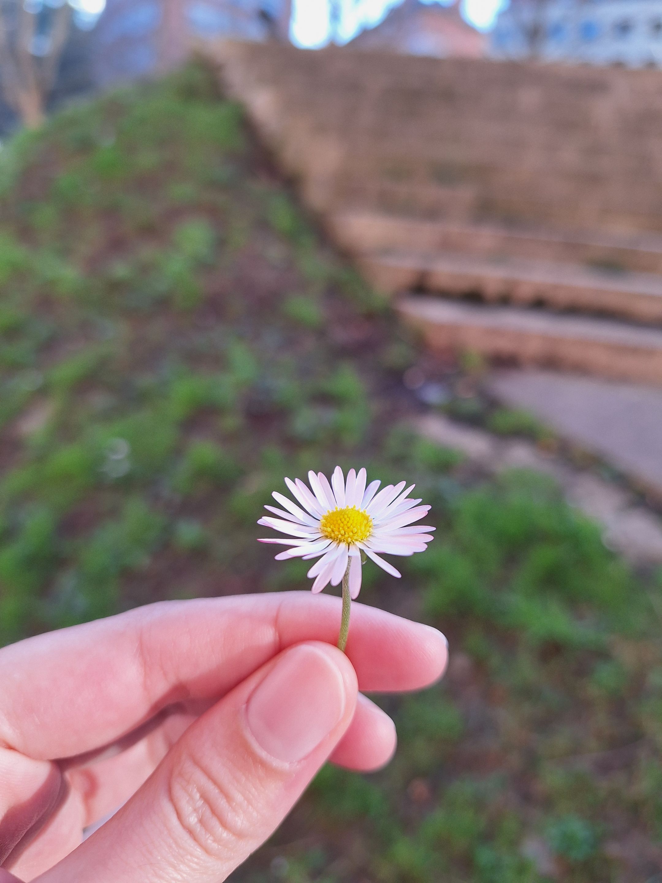1000026632.jpg