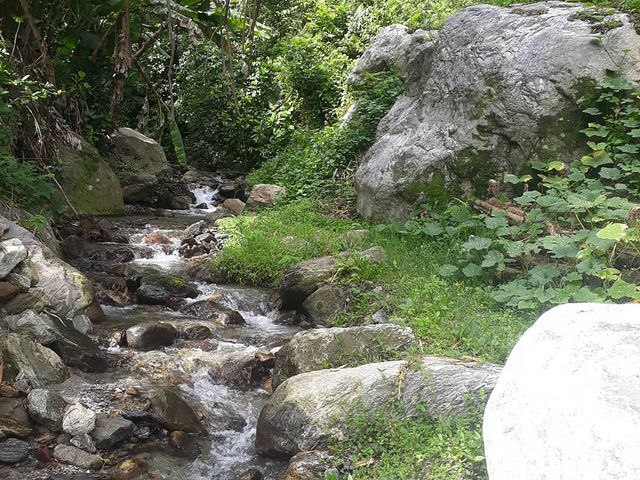 photo5152173370656270845.jpg