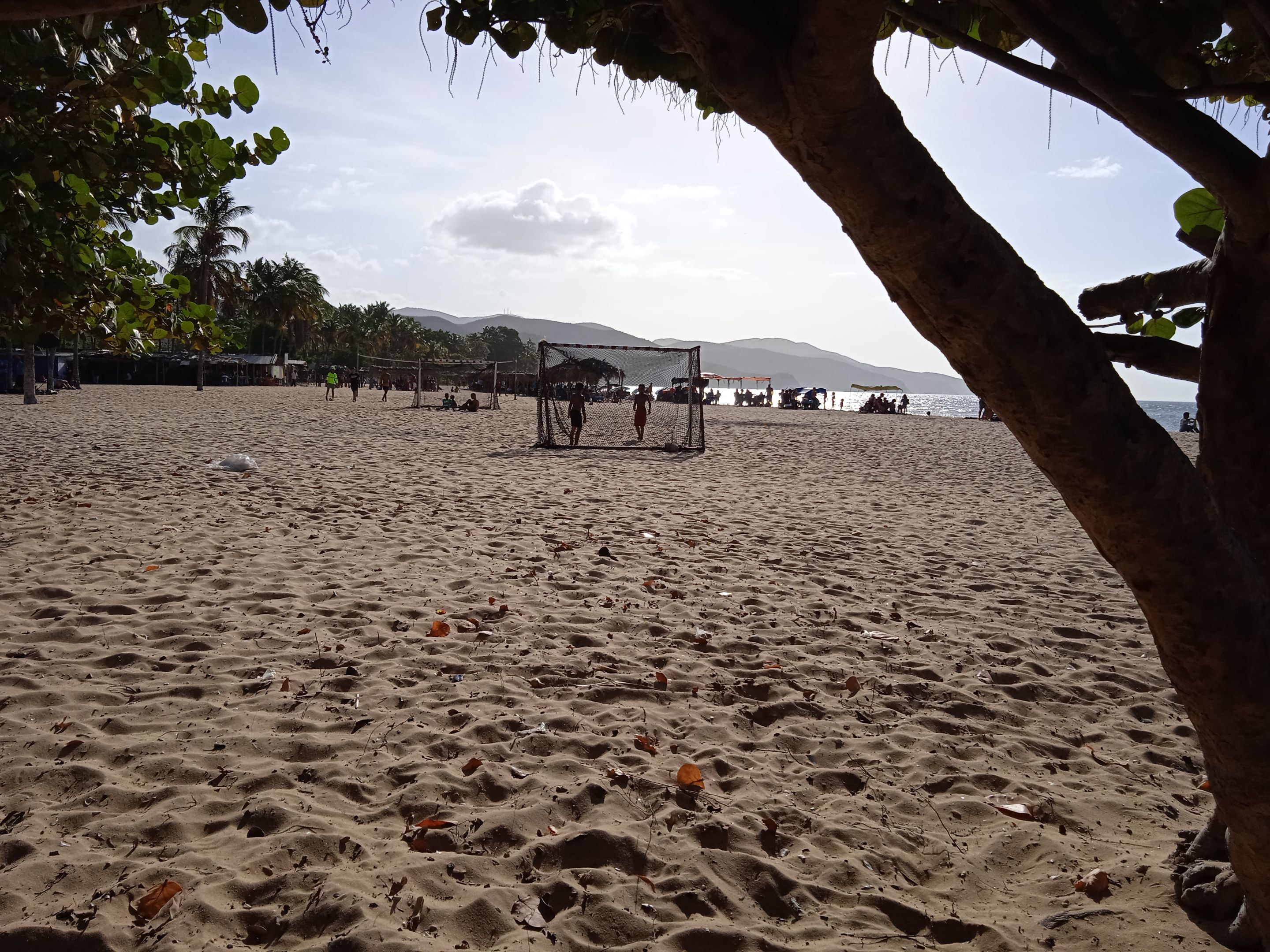 IMG_20210216_162501_1.jpg