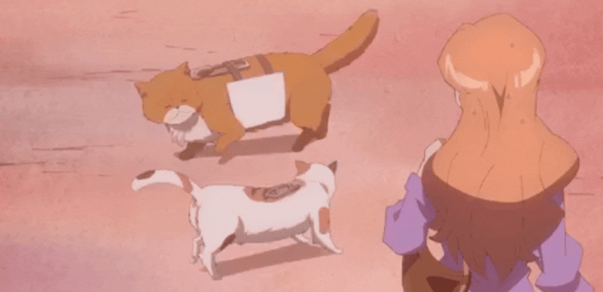 InShot_20250922_215611286.gif