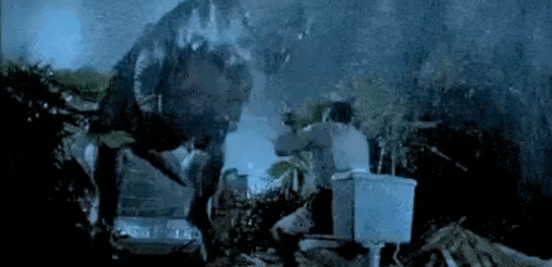 GIF_20250912_210755_916.gif
