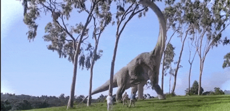GIF_20250912_210642_086.gif