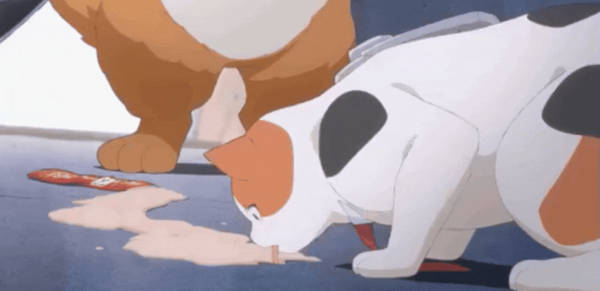 InShot_20250922_215518414.gif