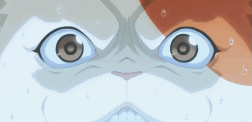 InShot_20250922_215436741.gif