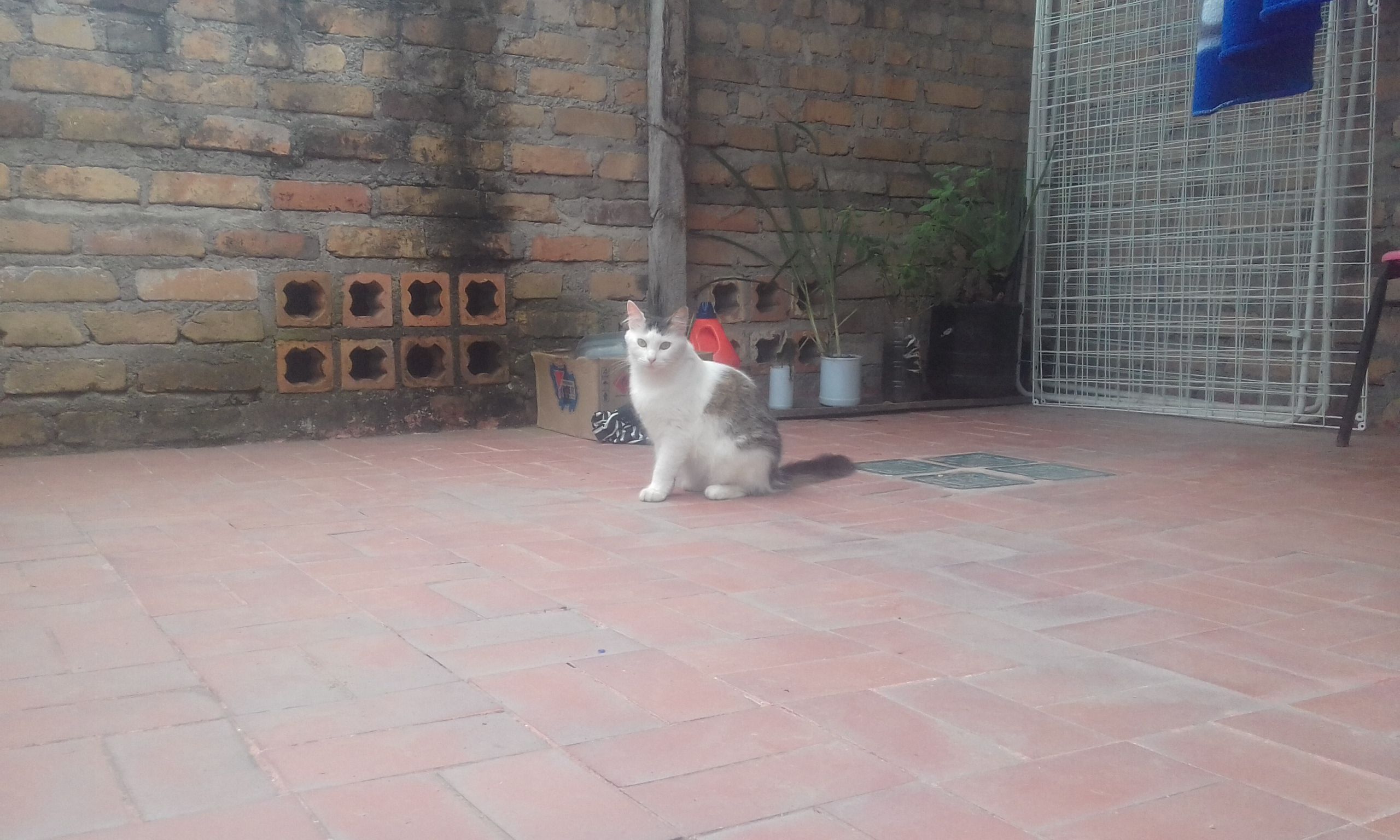 20200806_101538.jpg