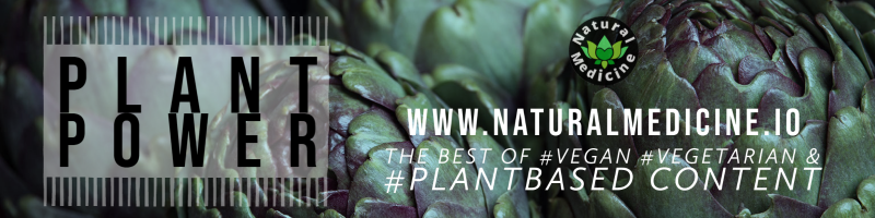 plant power 2.png