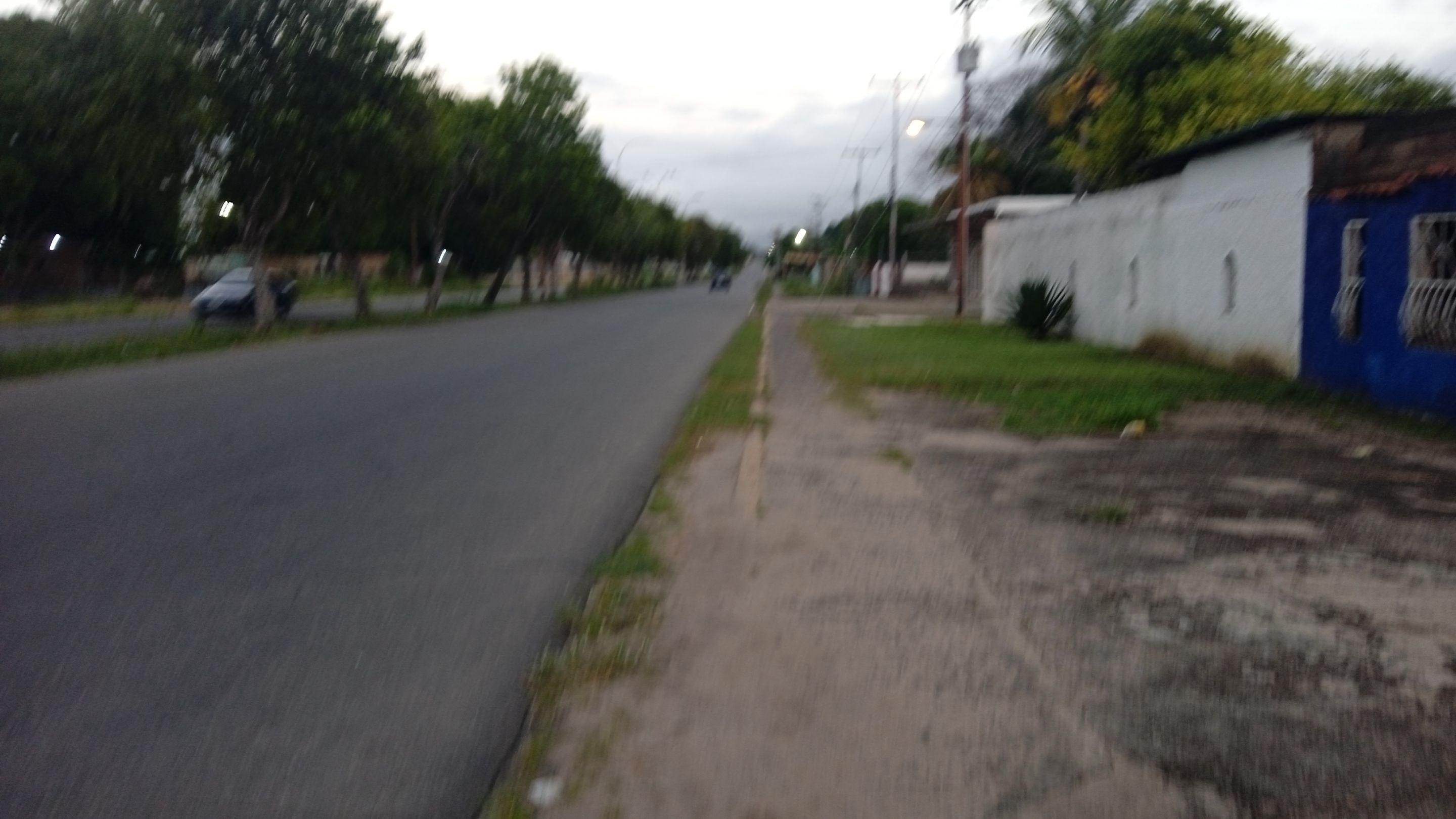 IMG_20250717_060723_1.jpg