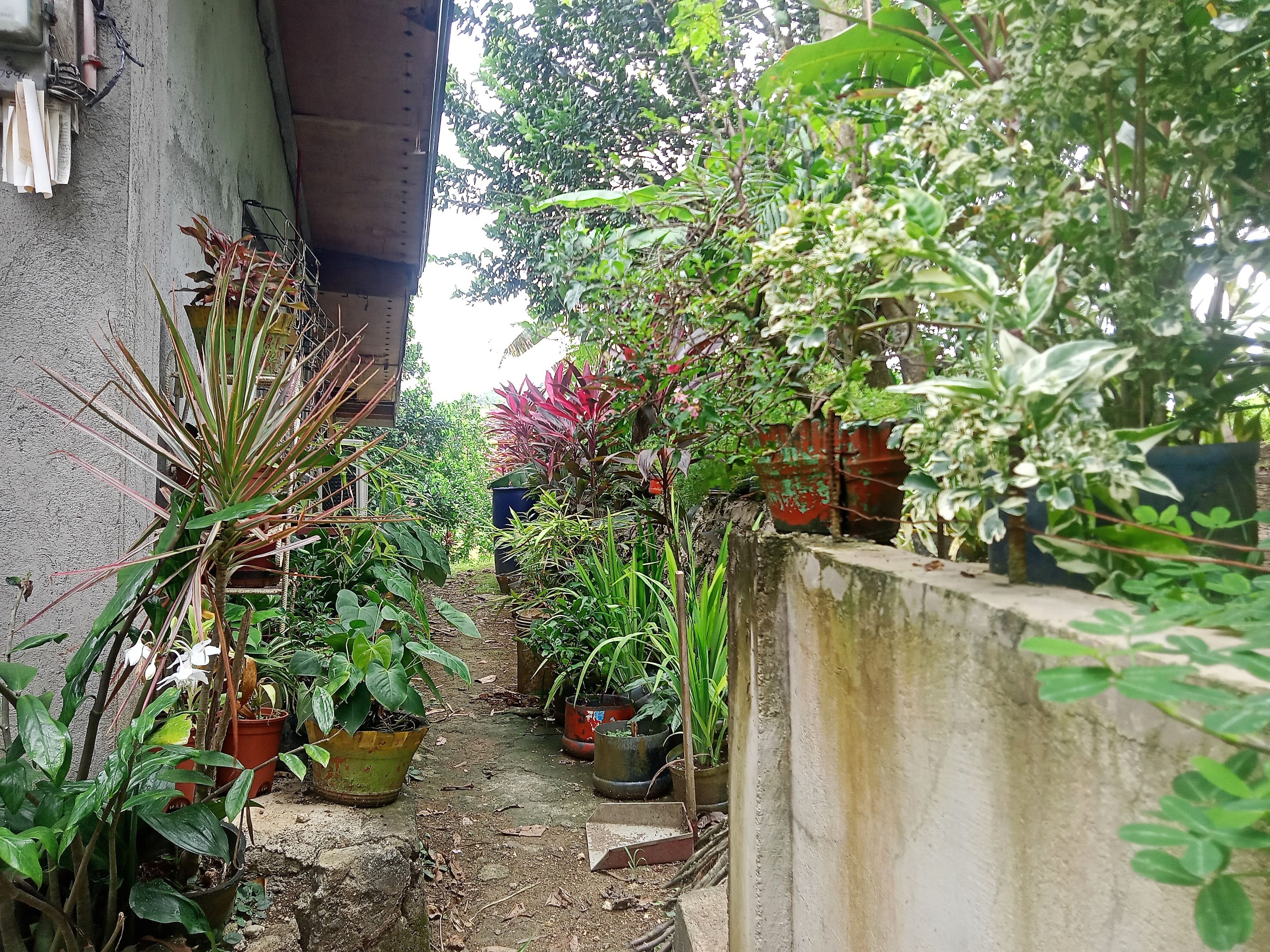 IMG20221208122540_00.jpg