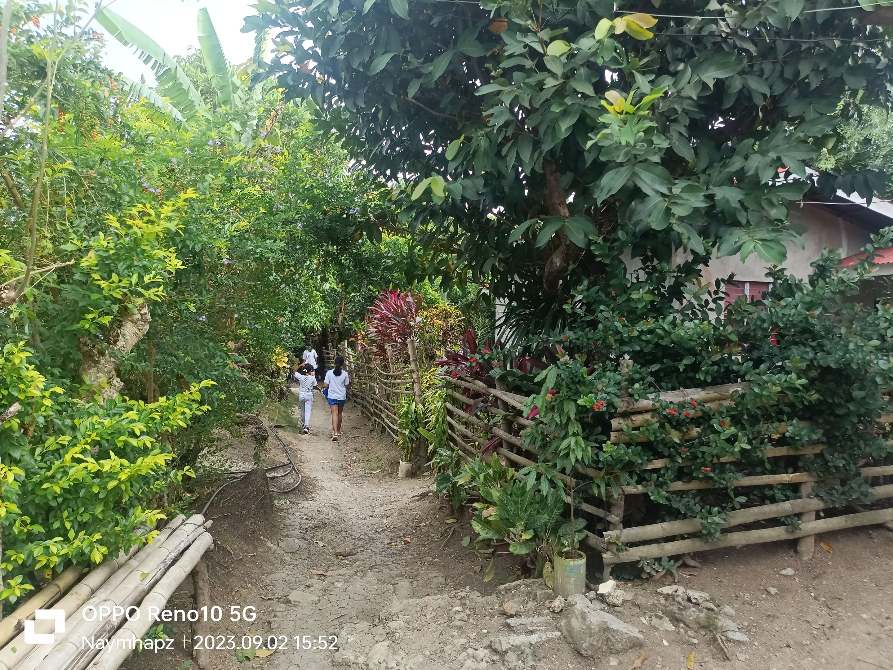 IMG20230902155203.jpg