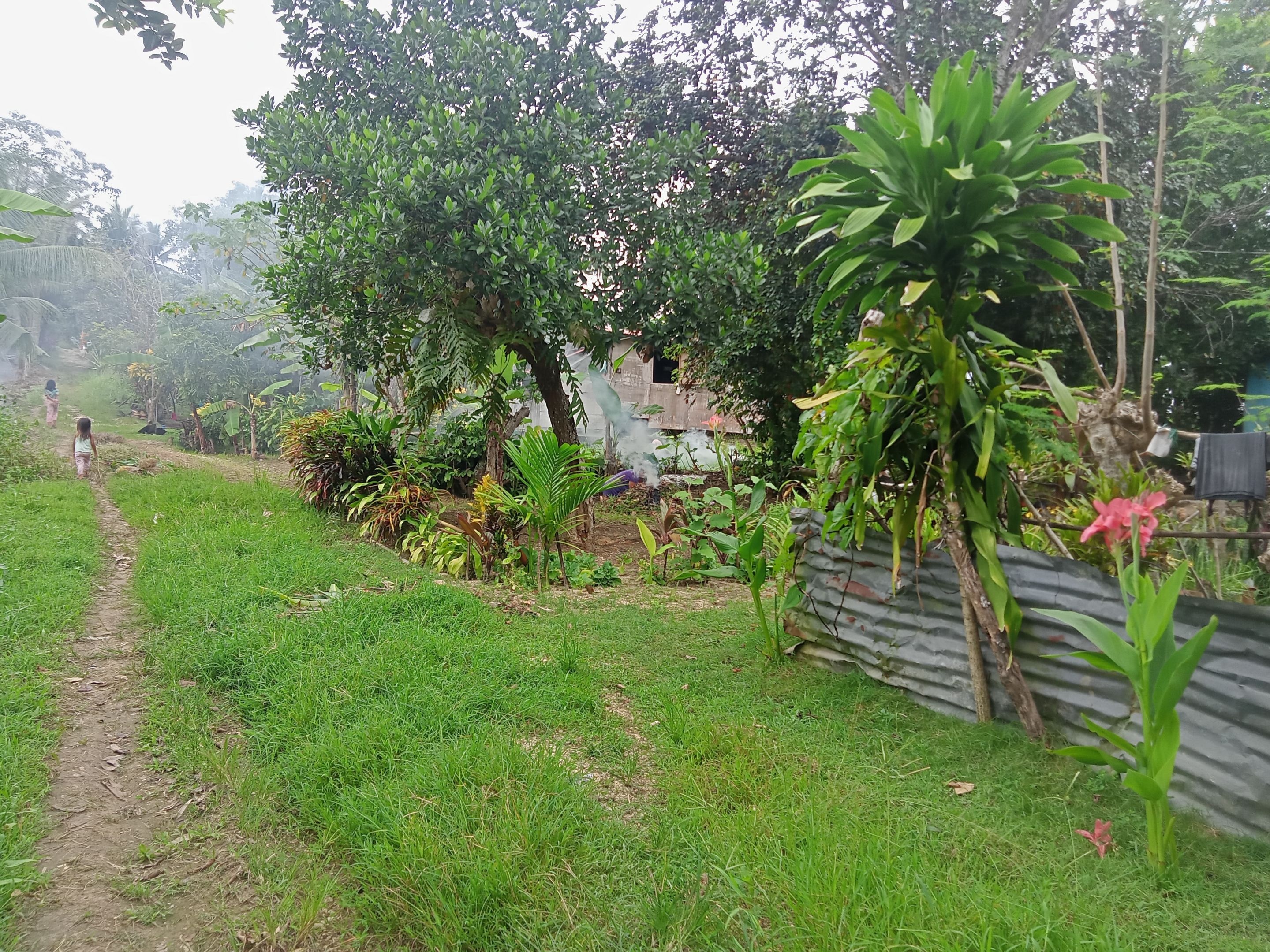 IMG20221208114536_00.jpg