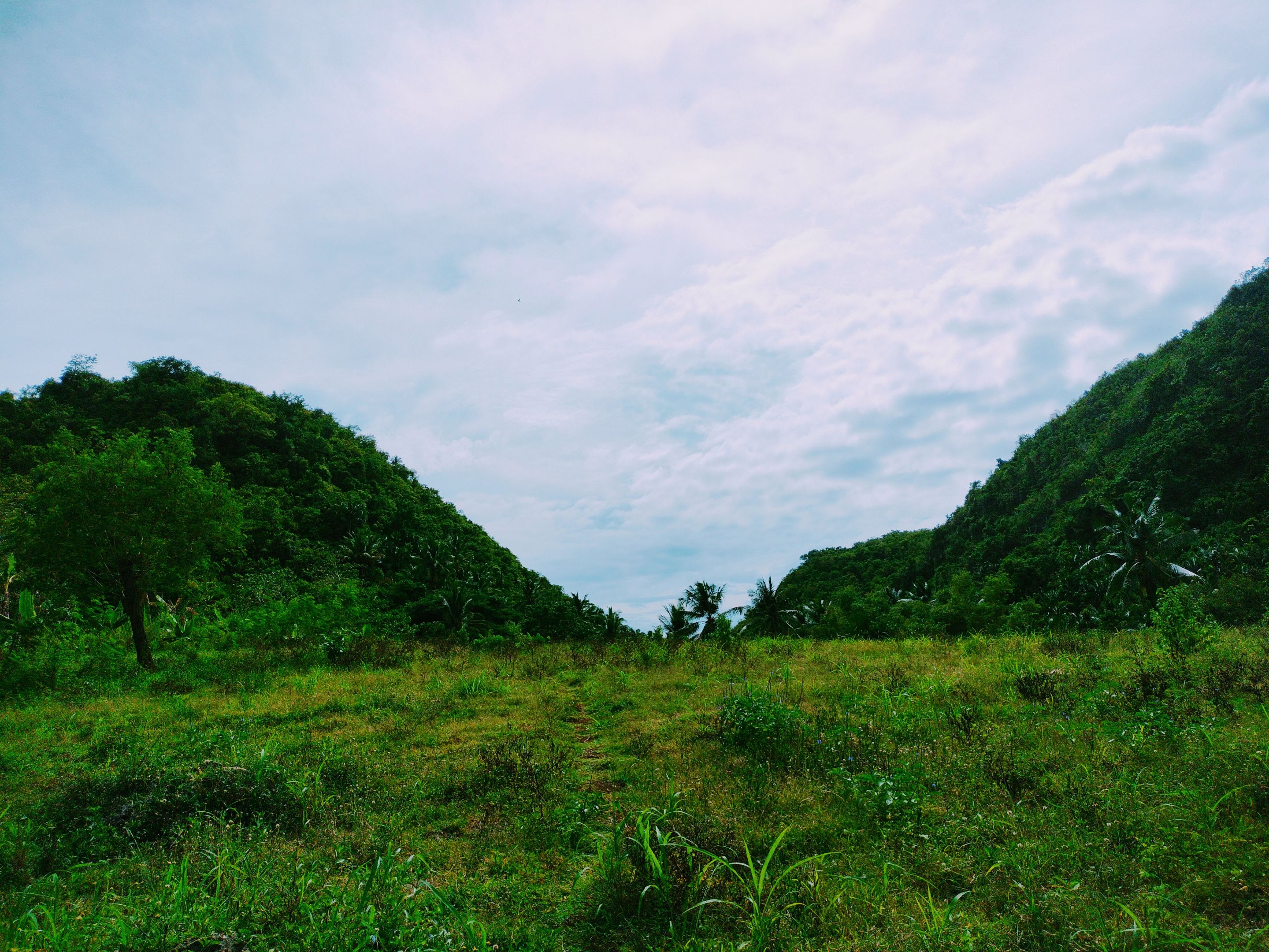 IMG20230610140417~2.jpg