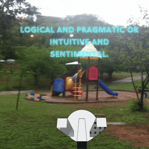 Logical and pragmatic or intuitive and sentimental..gif