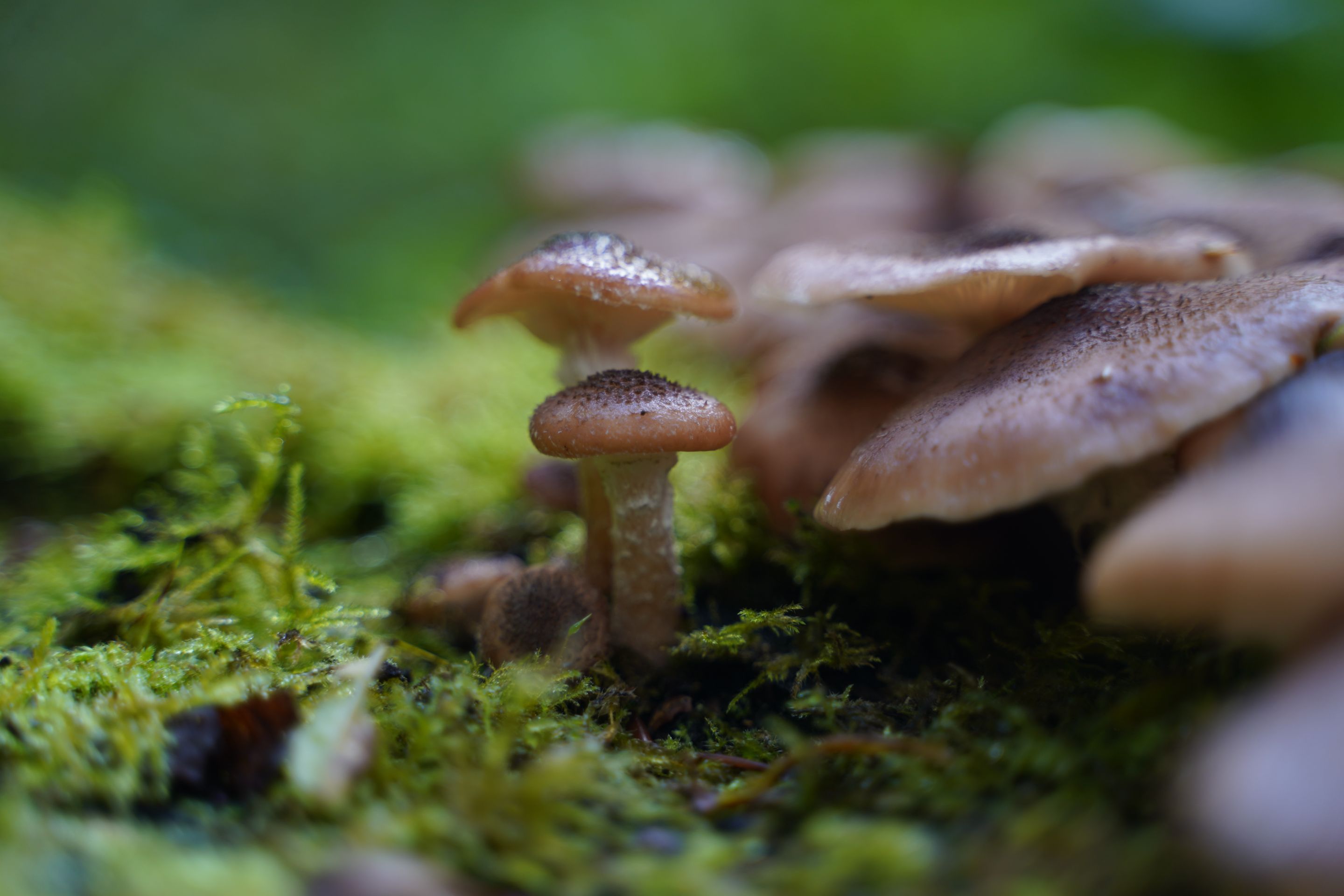 DSC07562.JPG